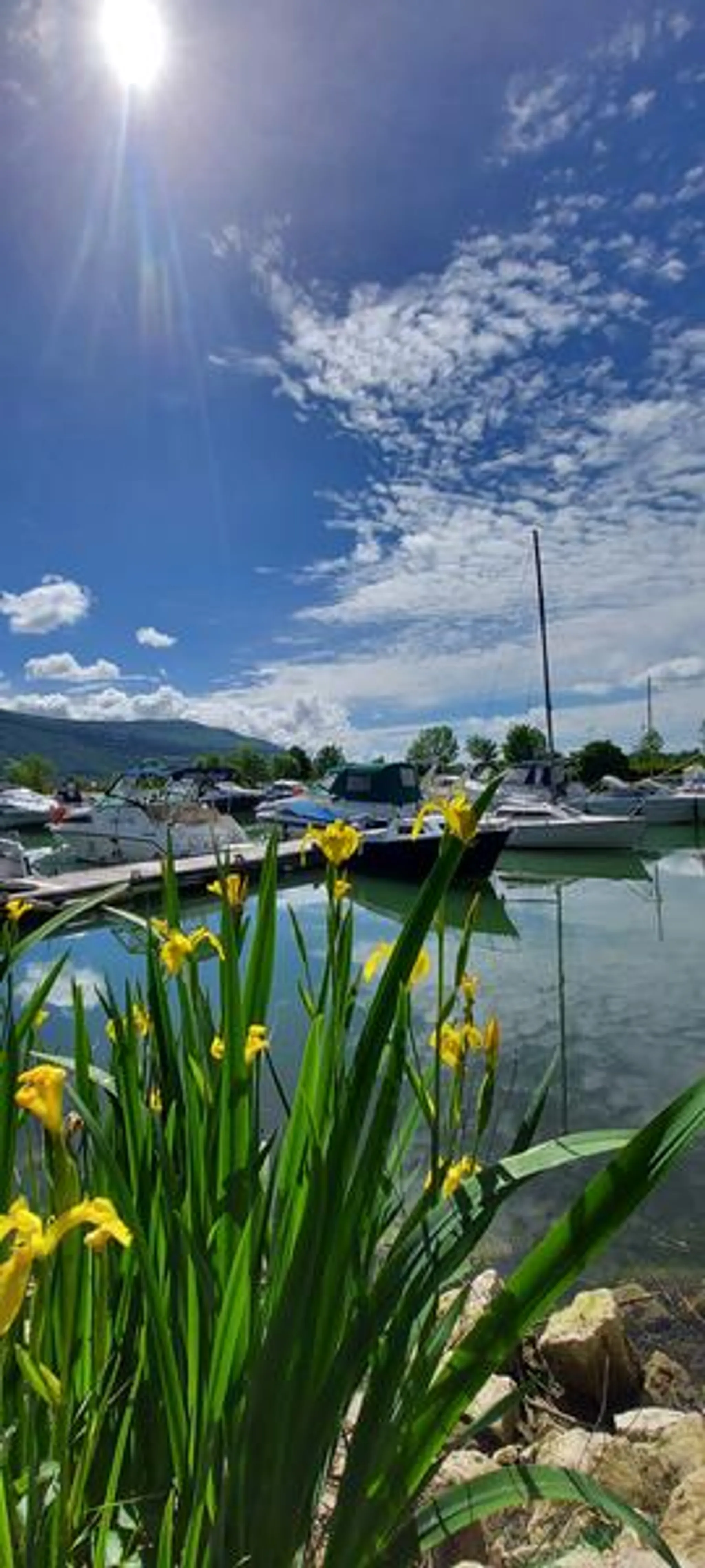 Location de bateaux avec et sans permis