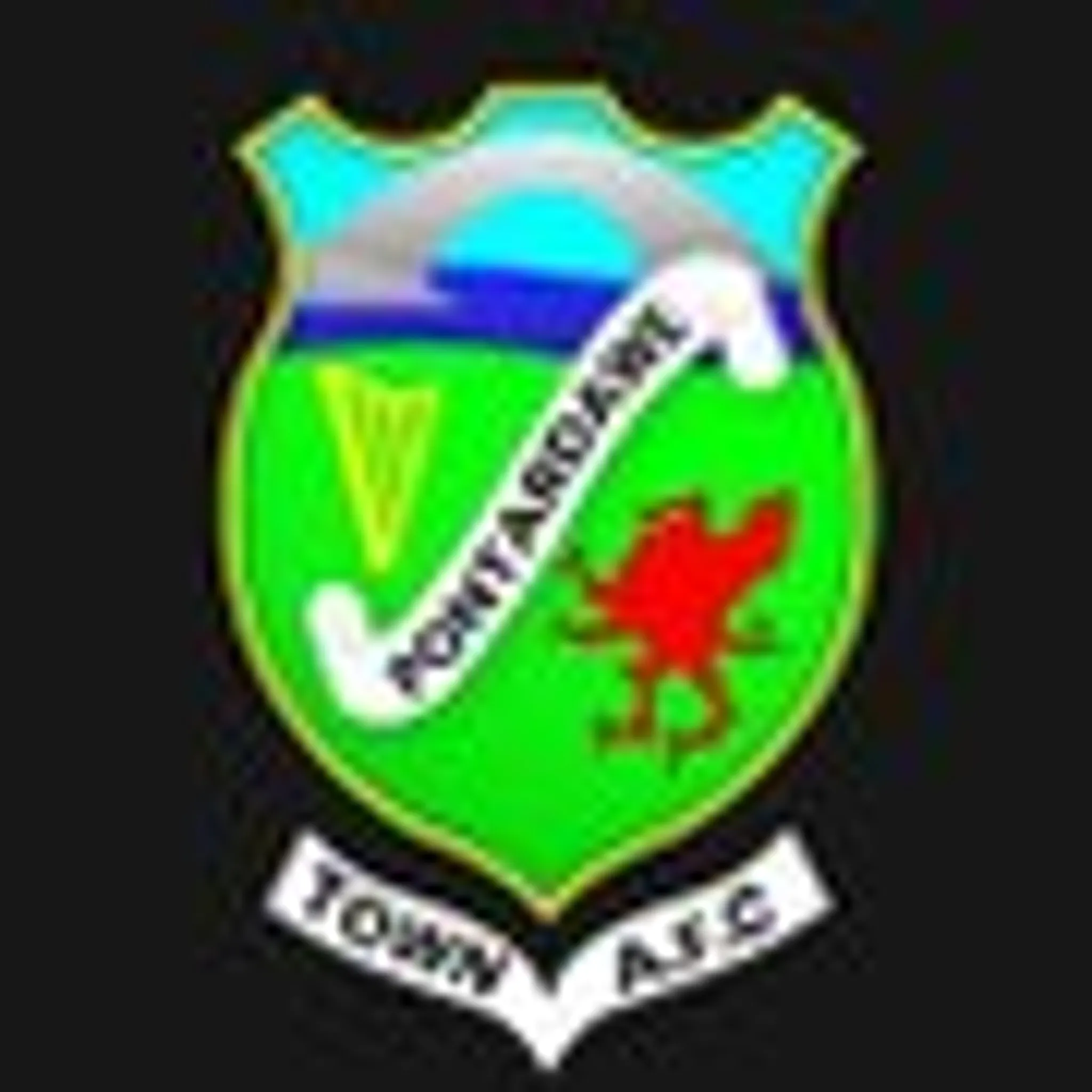 Pontardawe Town FC