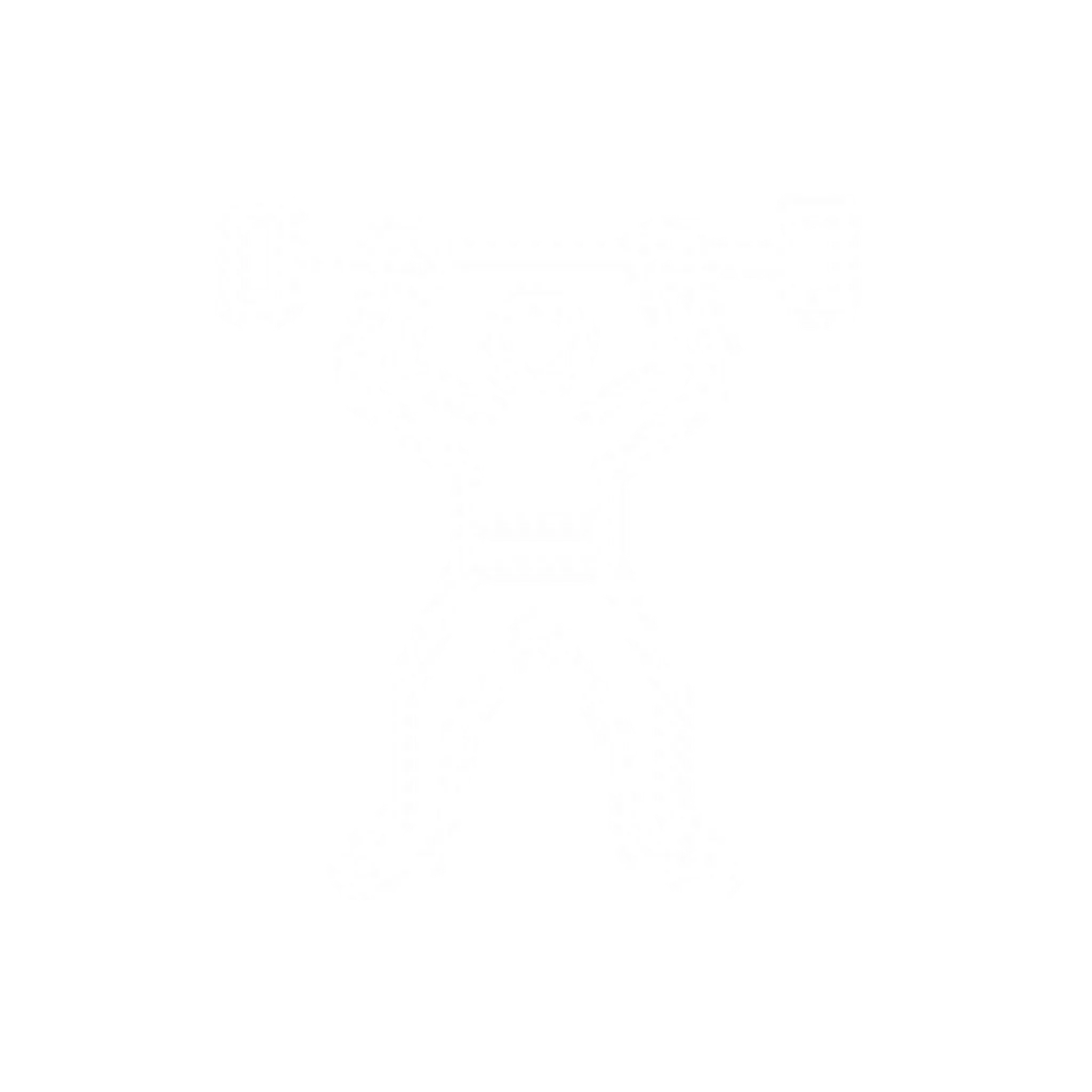 The Health Minister - Personal Trainer