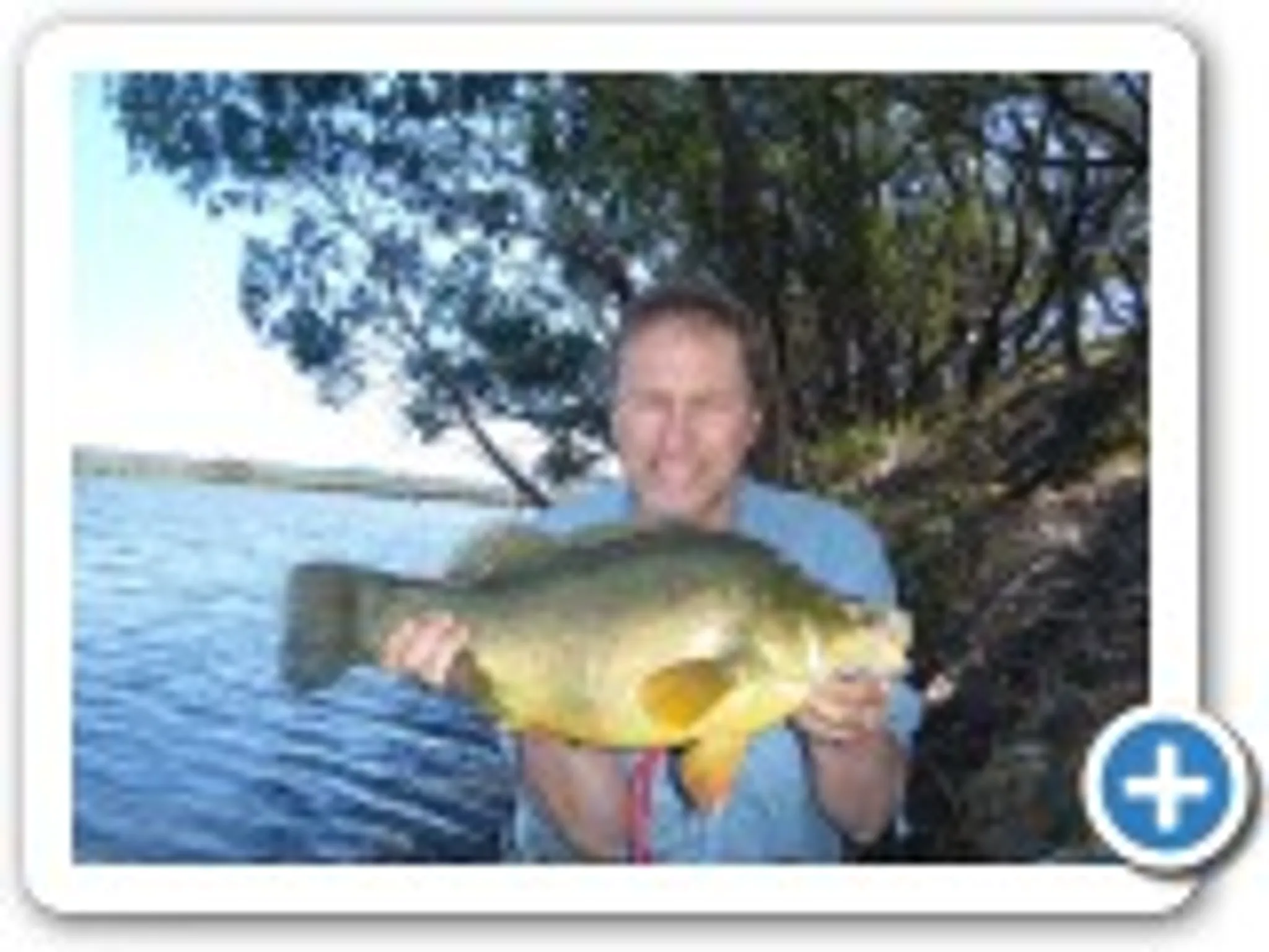 The South Australian Fresh Water Anglers Association (SAFWAA)