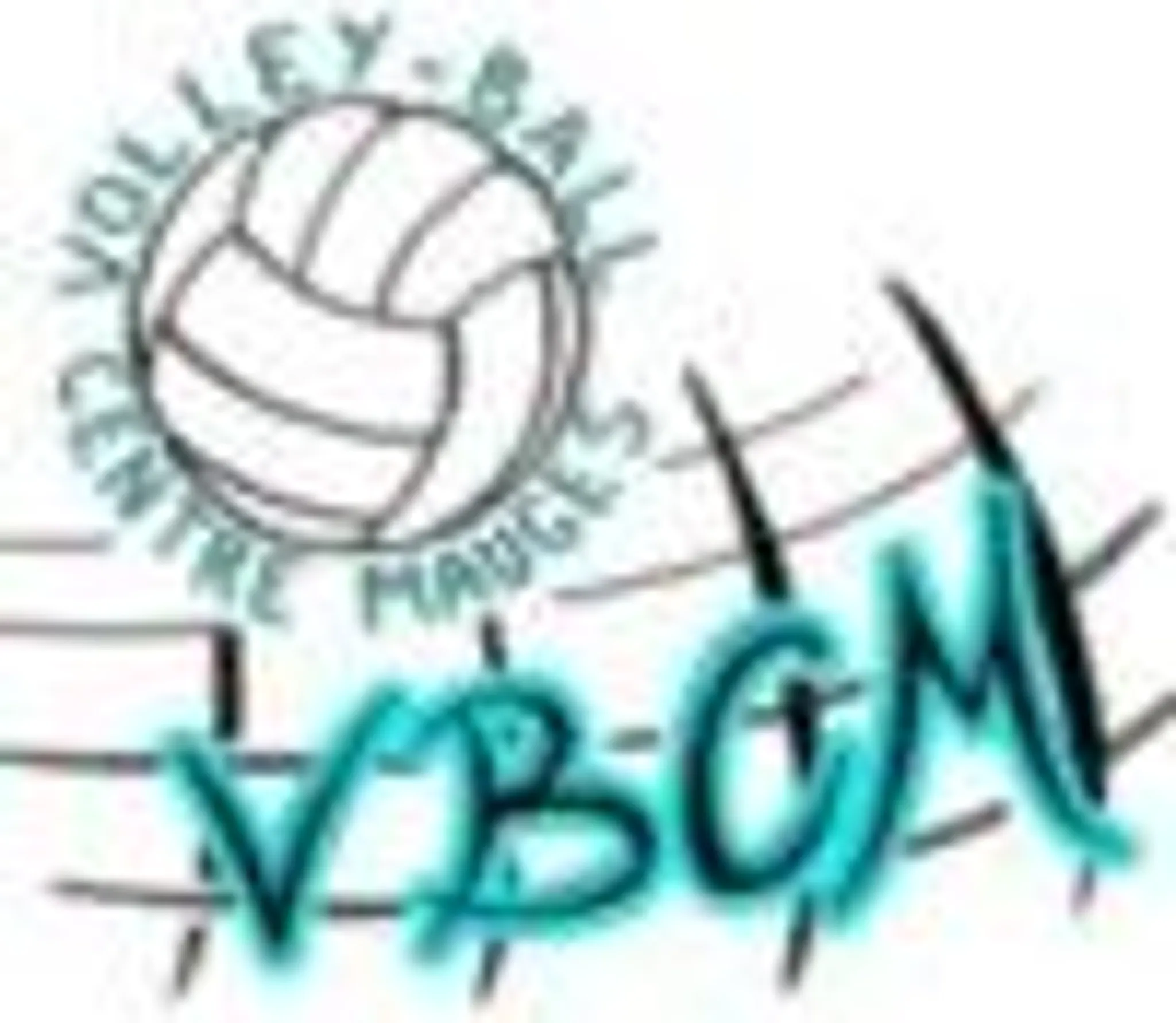 Association Volley Ball Centre Mauges (VBCM)