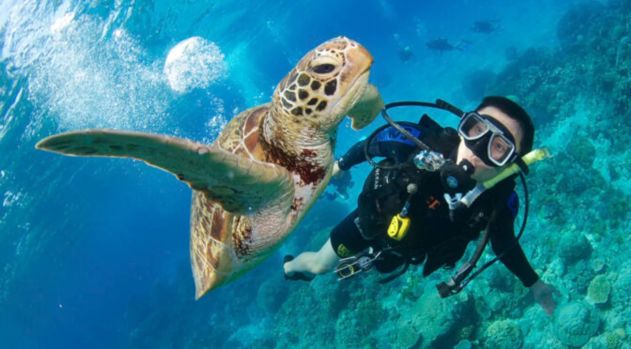 7 Night Southern Adventure Expedition