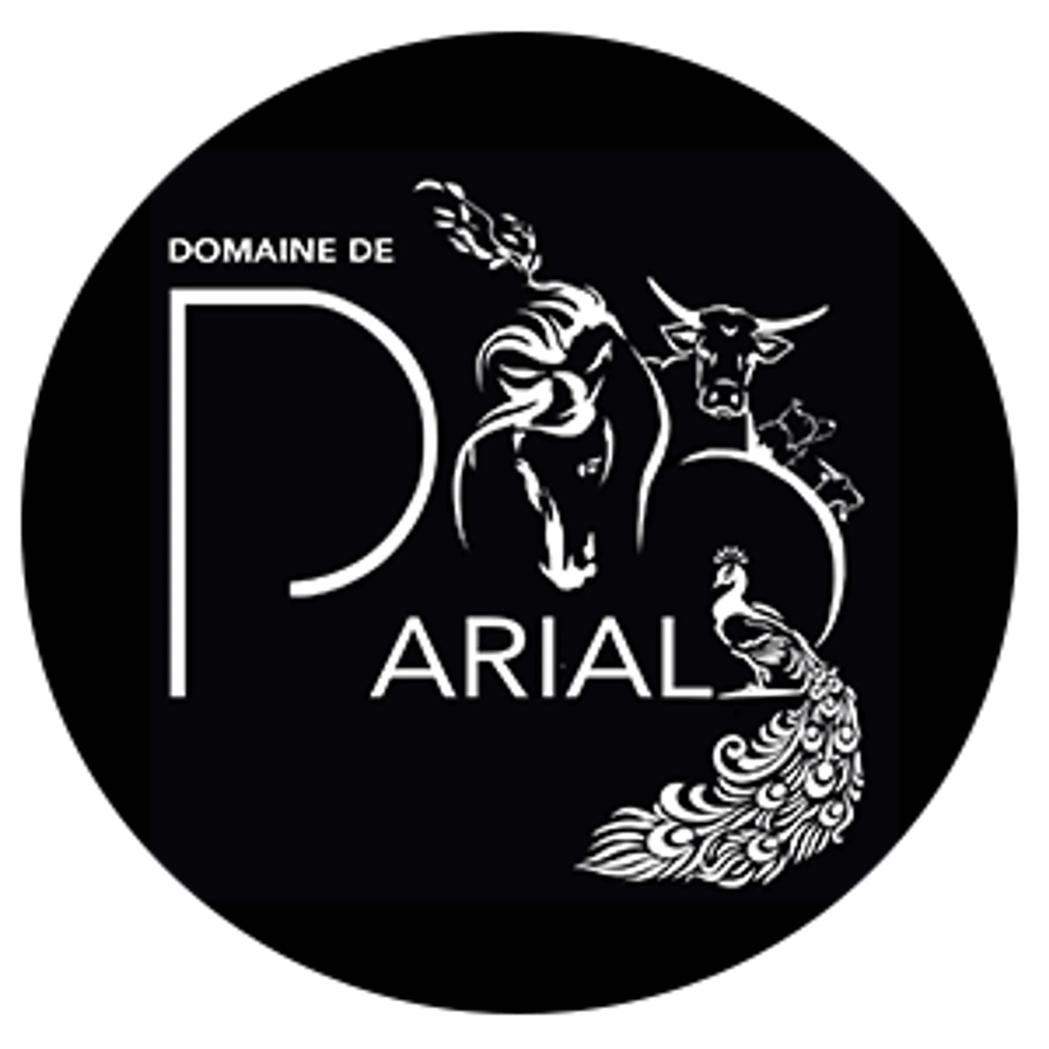 Domain Parial