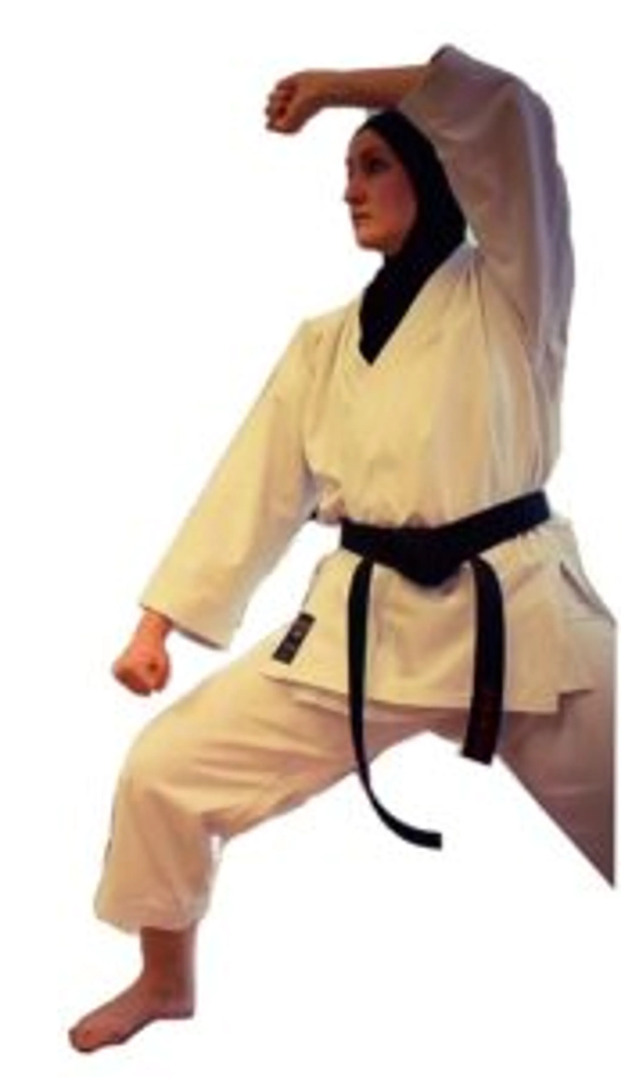 Northamptonshire Karate Club