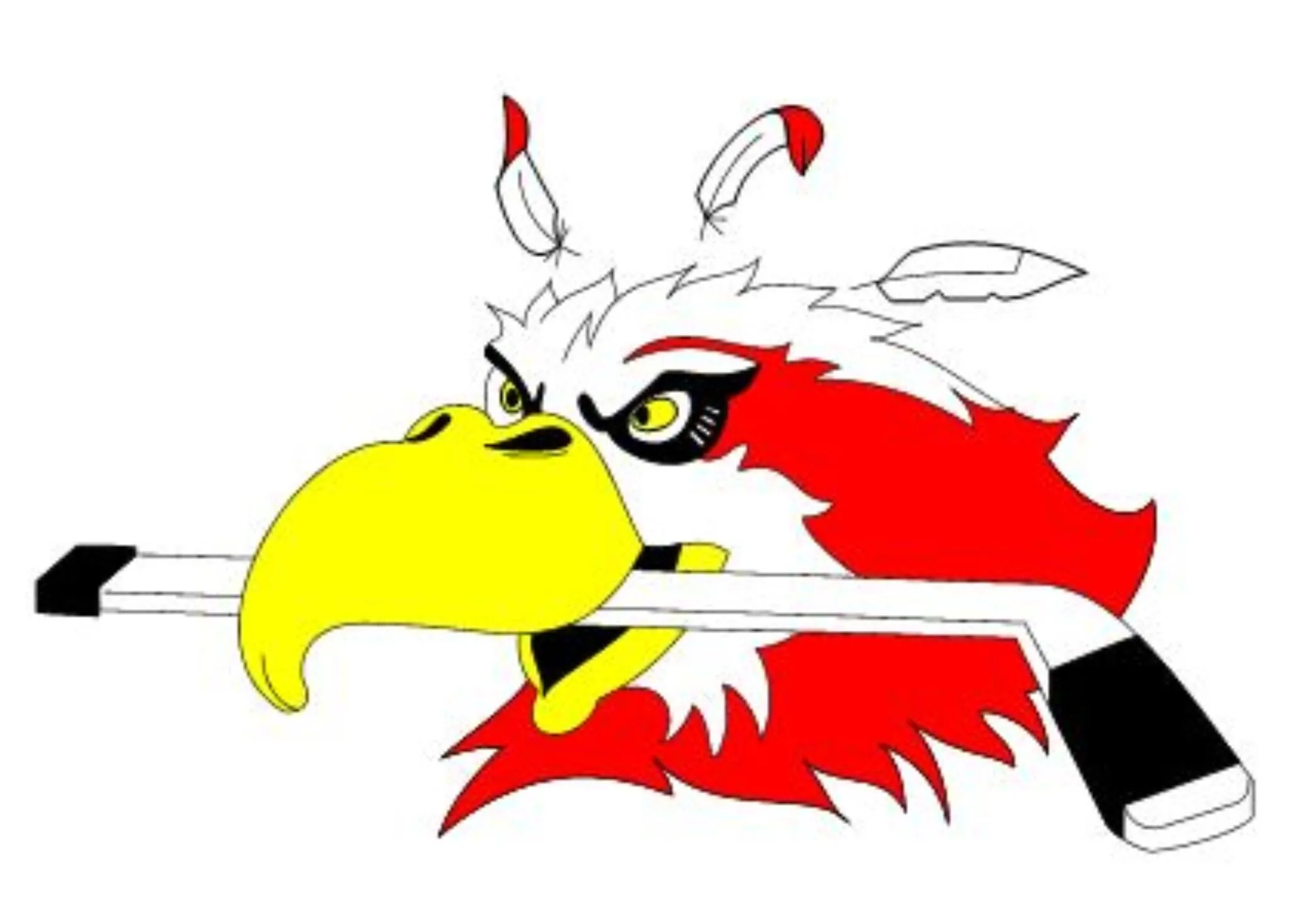 EURO-CAN Hockey School