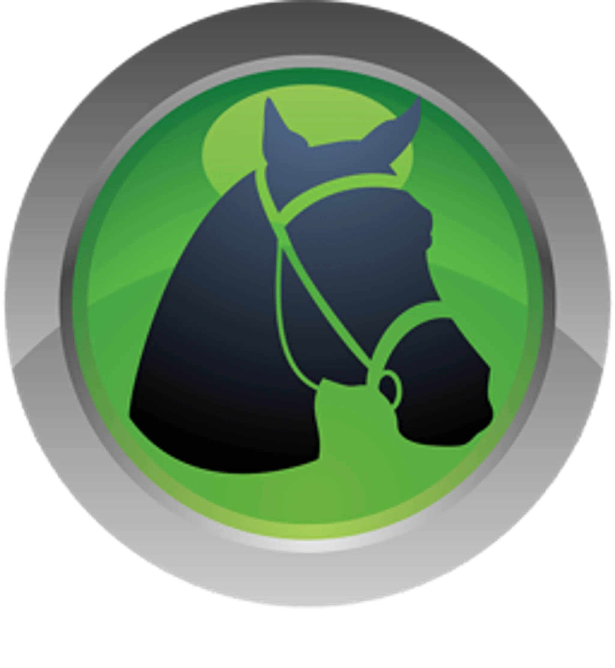 Les Cavaliers De Saint-Geniez