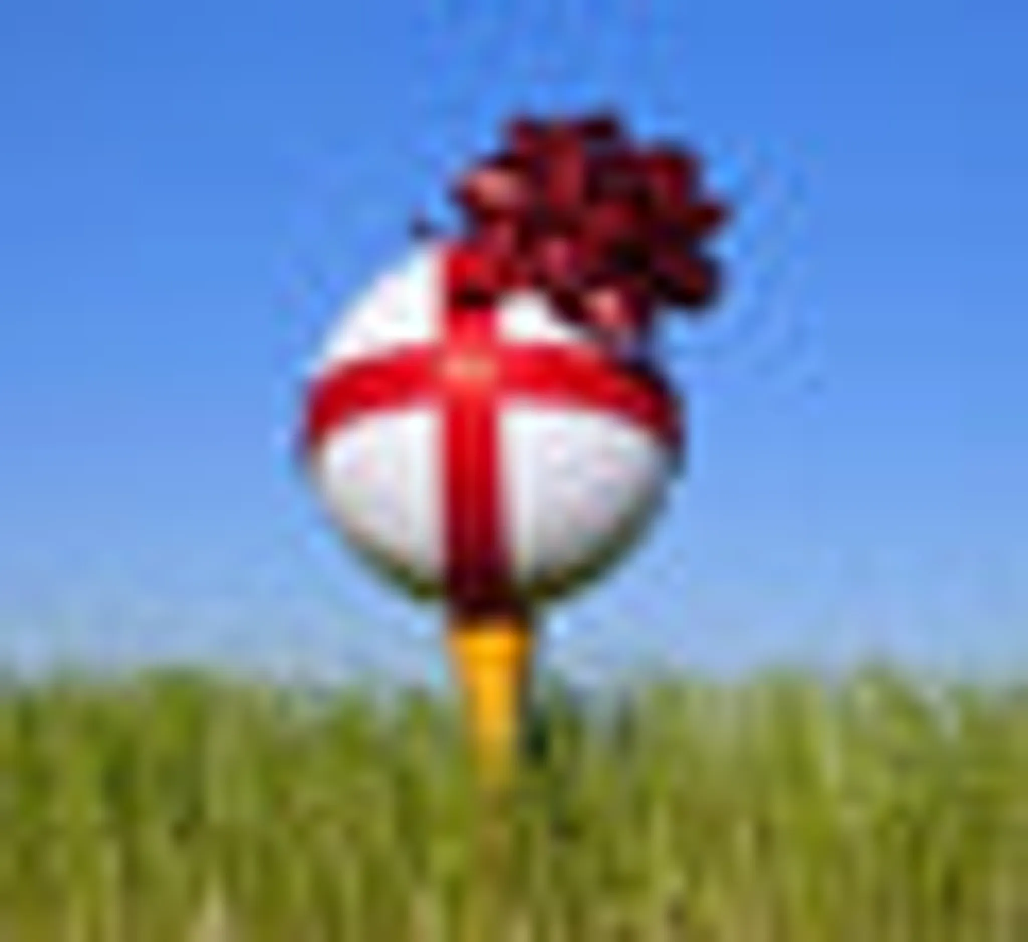 Joe Frawley Golf And Leisure