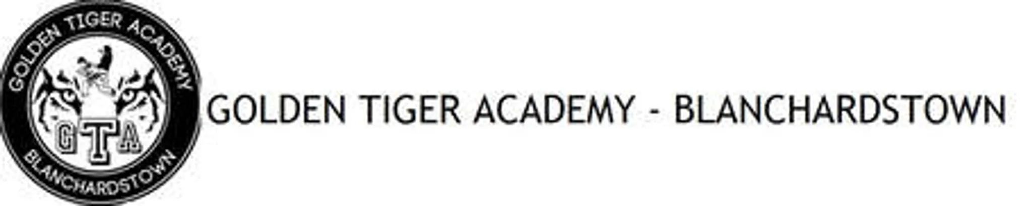 Golden Tiger Academy - Blanchardstown