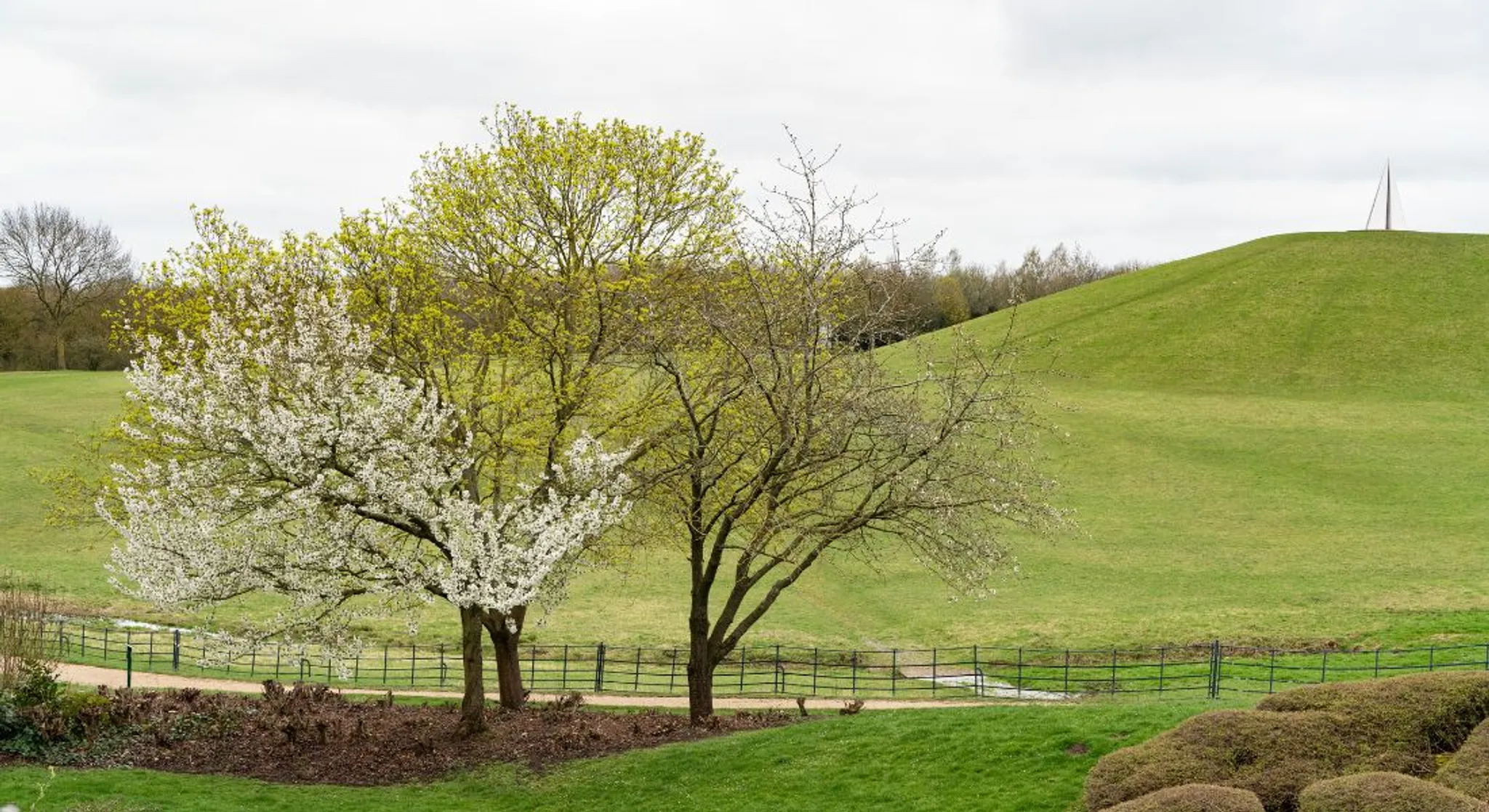 Colour Obstacle Rush