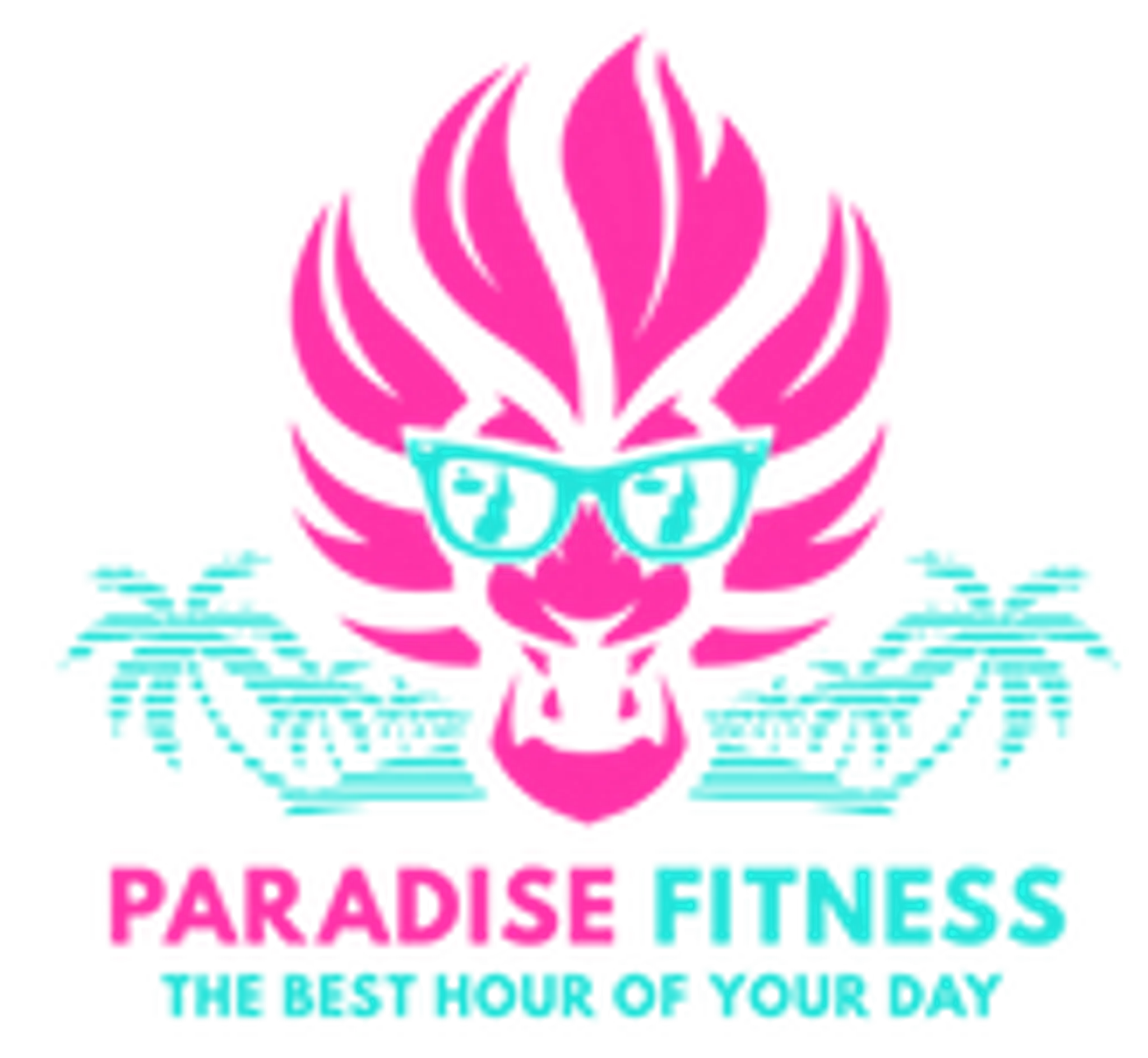 Paradise Fitness Newton Abbot