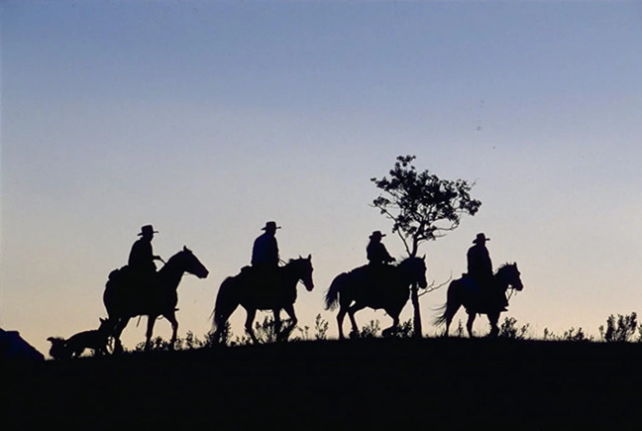 Outpost Escape Horseback Vacation Packages