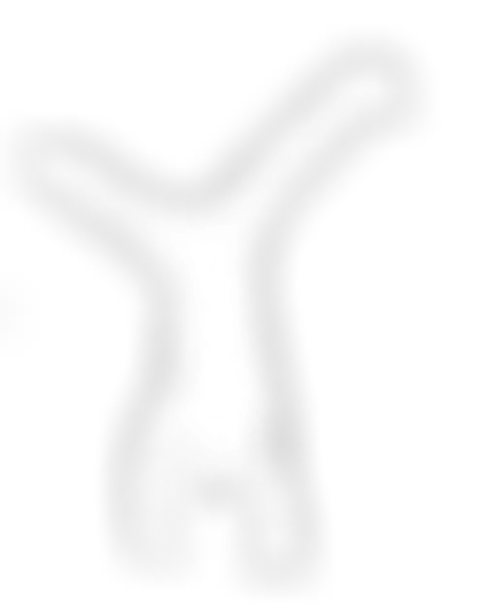 NorthStar Gymnastics & Fitness