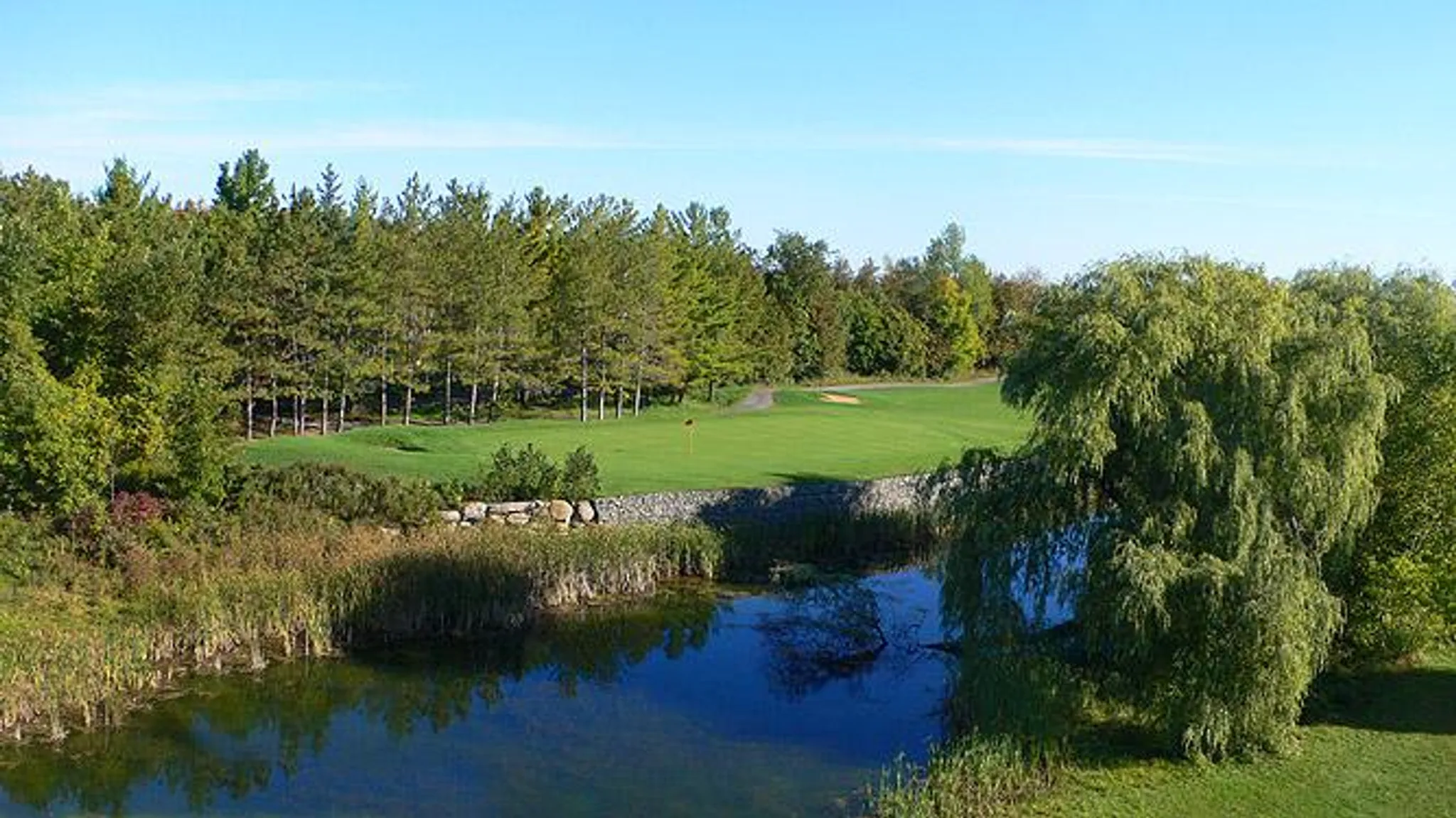 Manderley Golf Leagues Registration for 2024