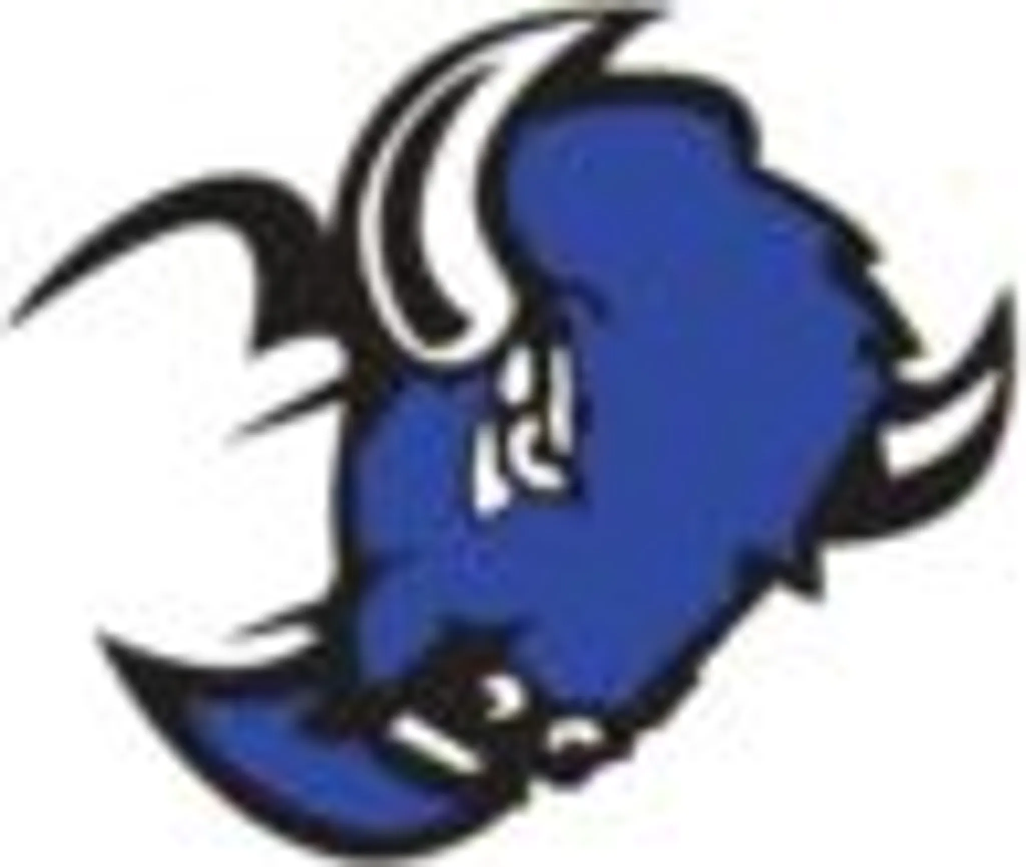 Ardrossan Bisons Football Club