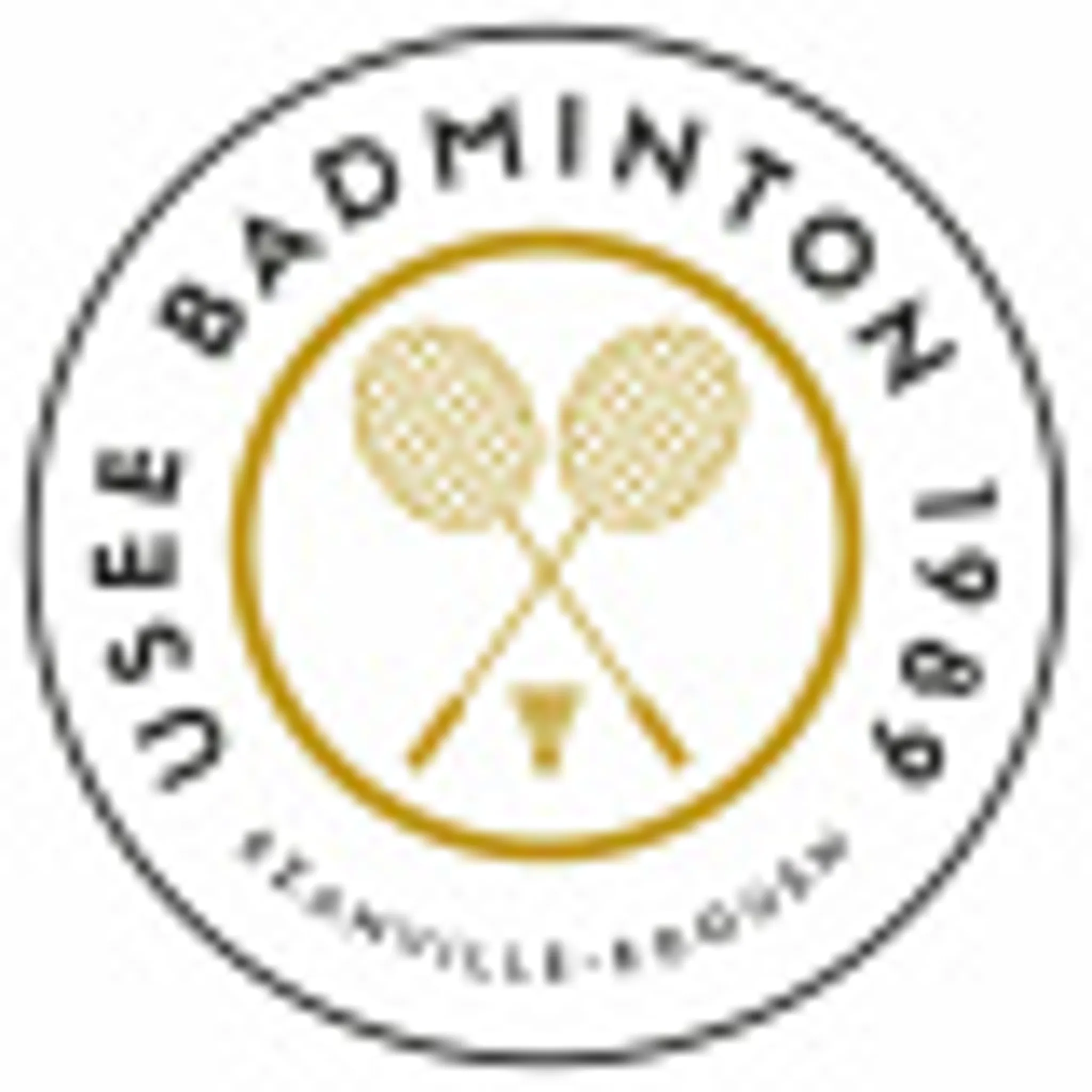 USEE Badminton
