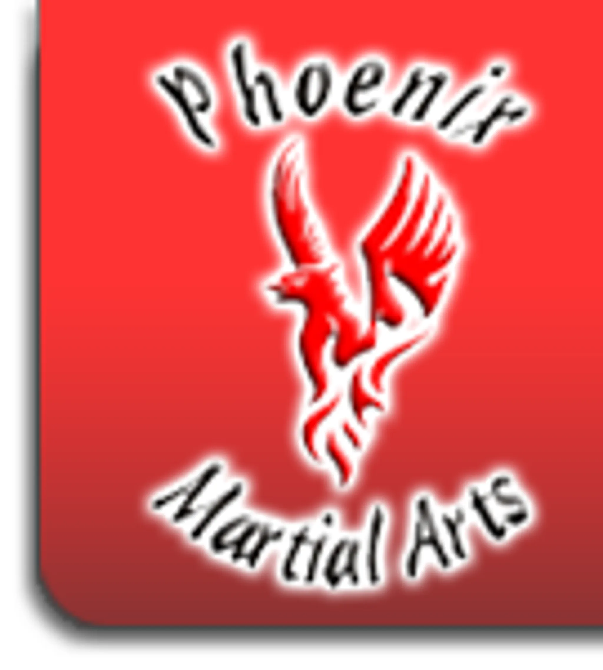 Phoenix Martial Arts