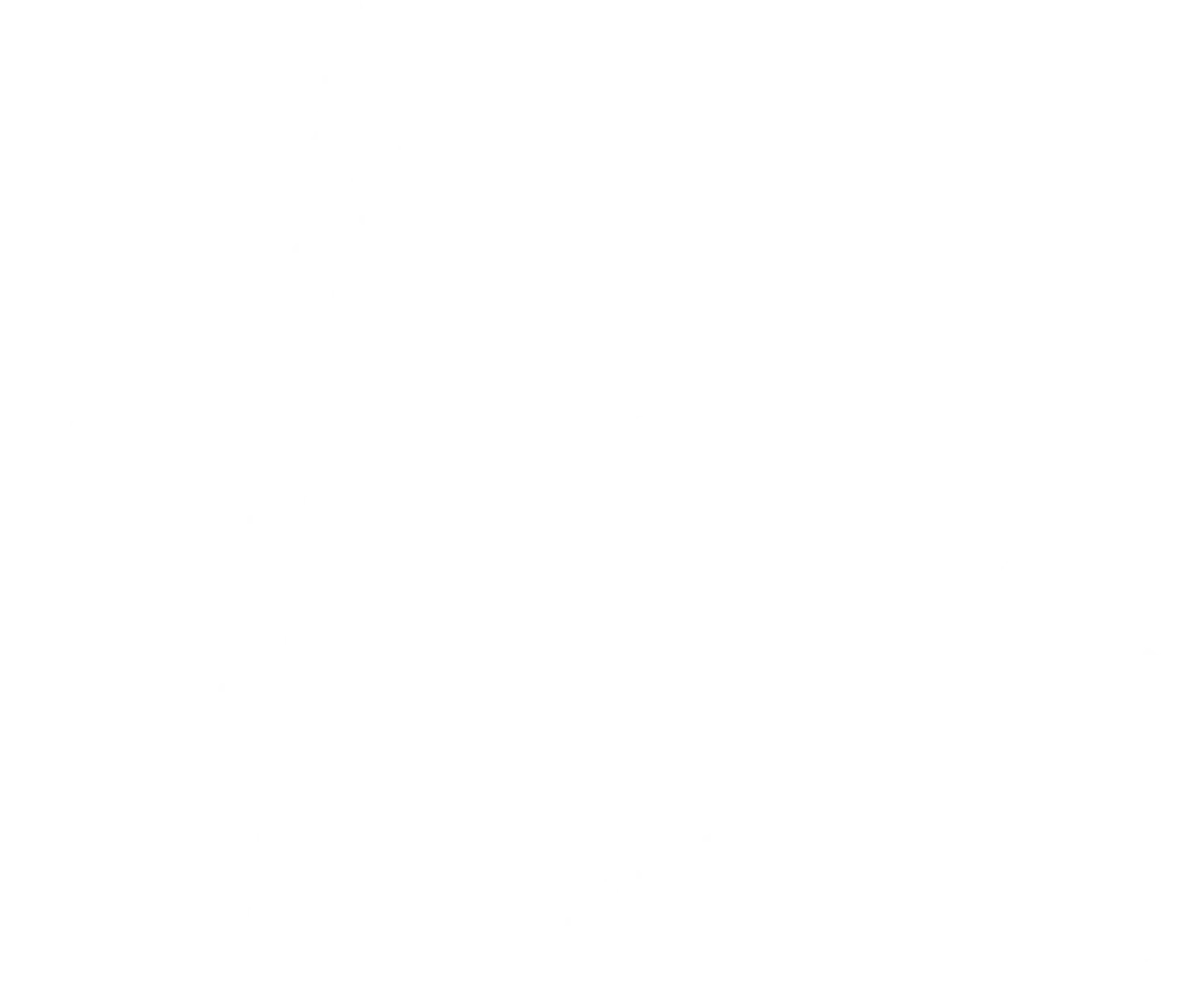 Vigor Coaching