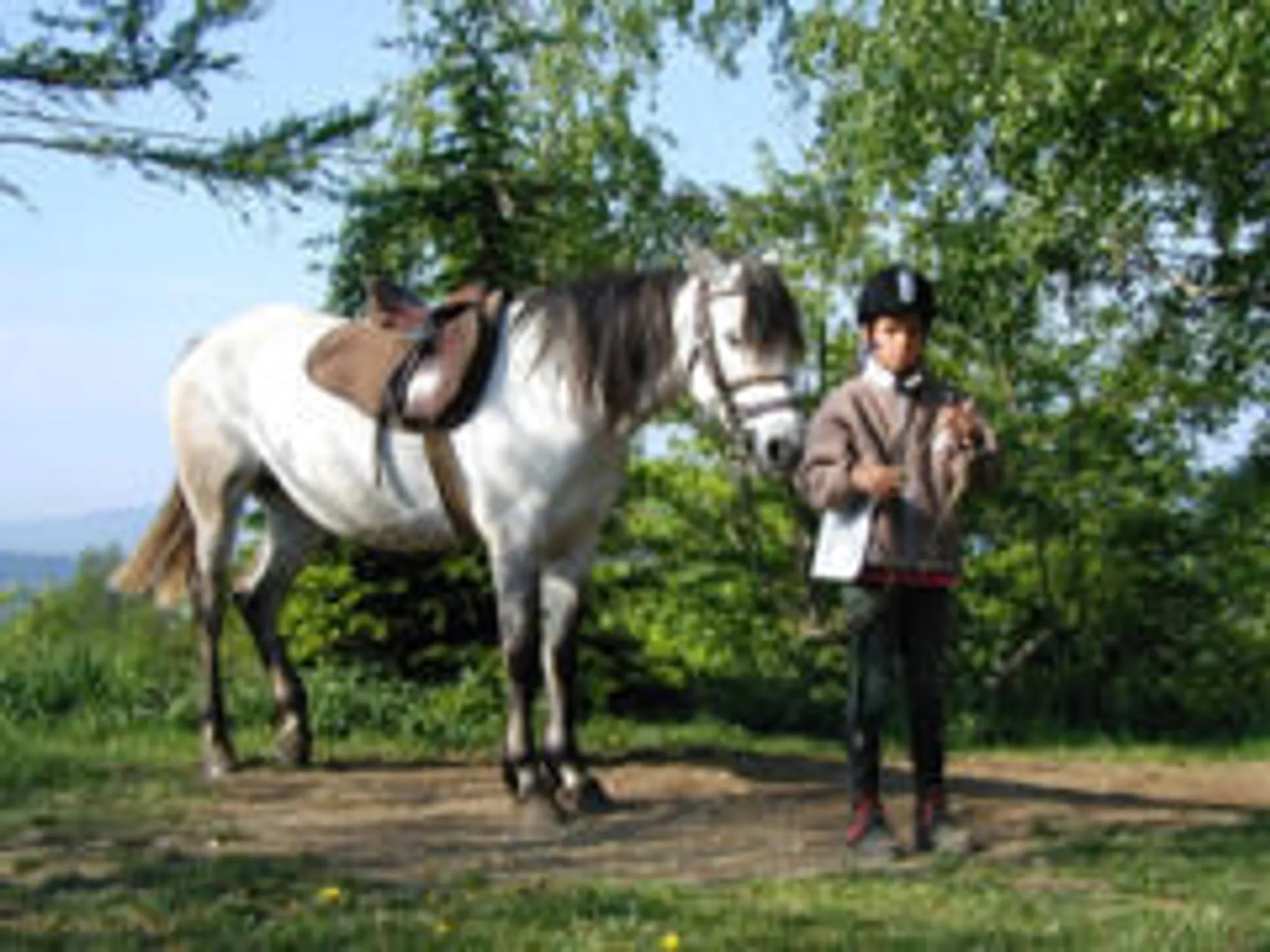 Cavalerie De La Petite Montagne - Juracheval