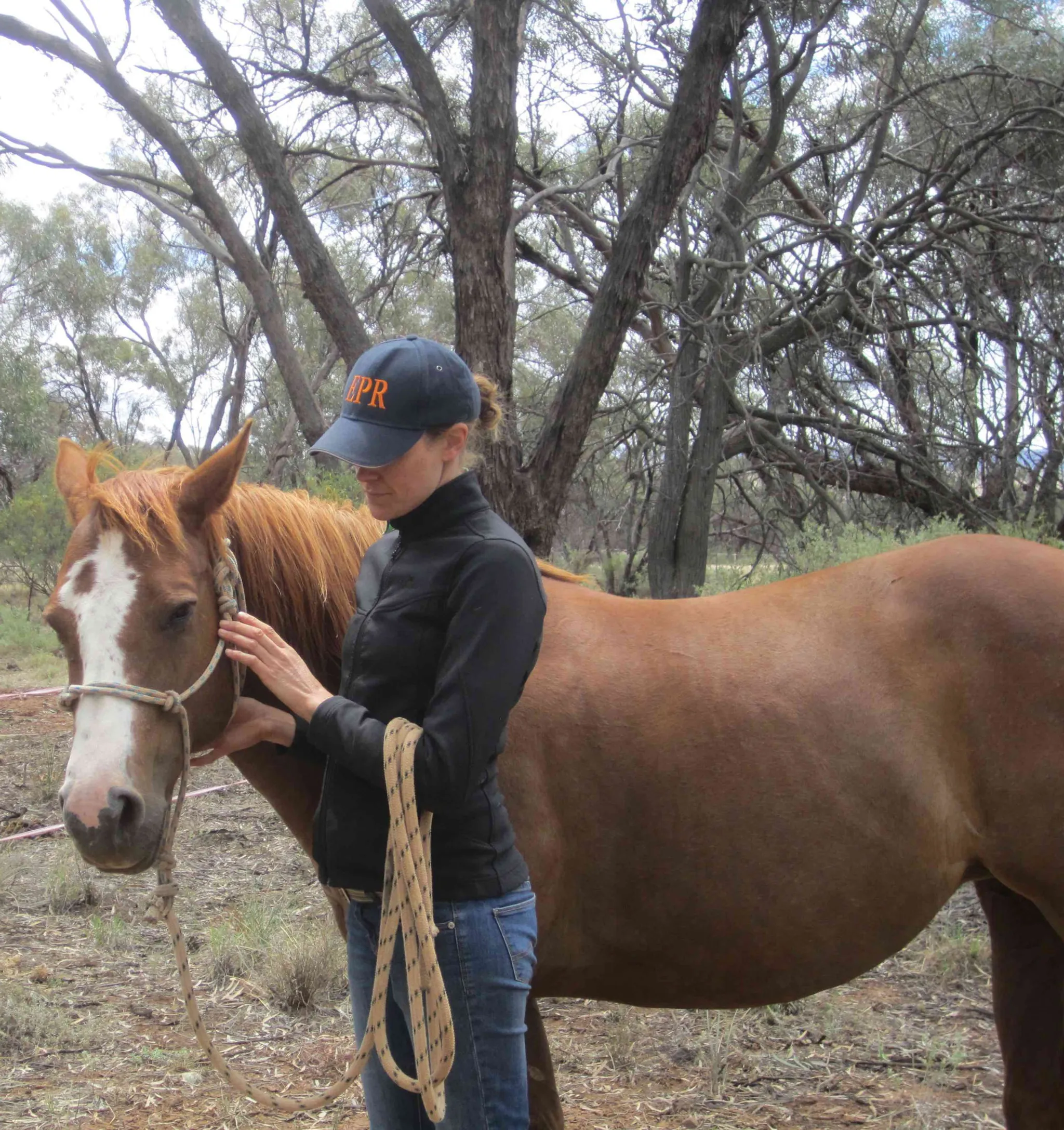 EQUINE POSITIONAL RELEASE INSTITUTE