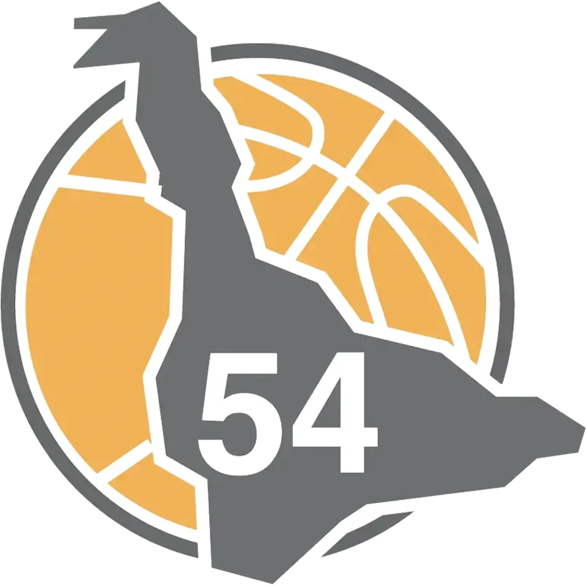 Comité Basket Meurthe et Moselle