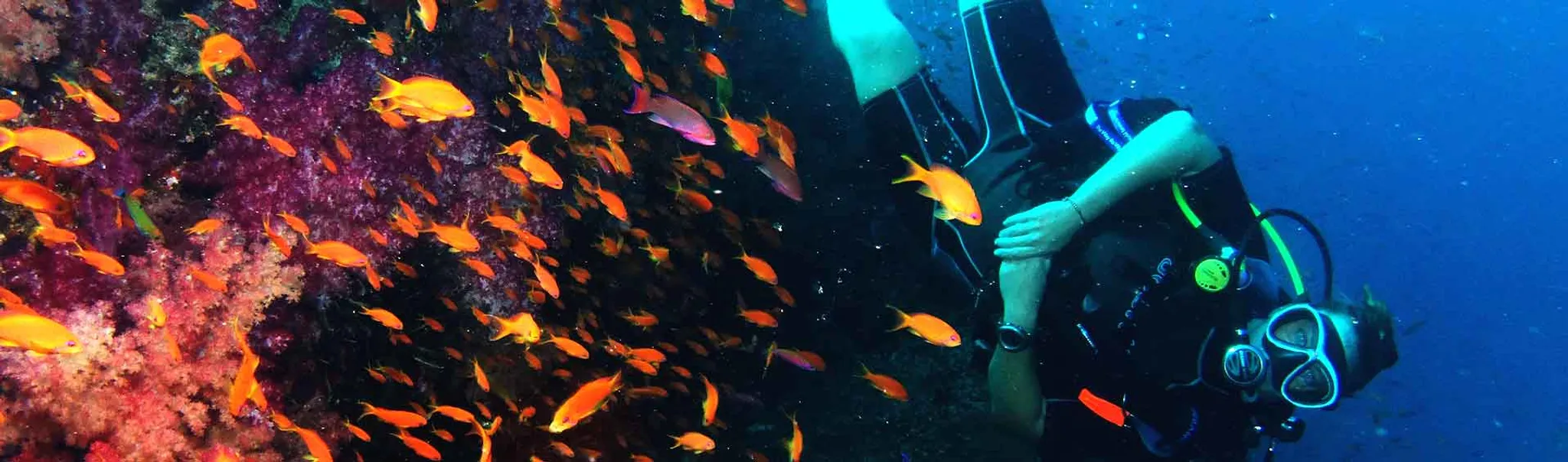 GO PRO New Zealand Diploma in Professional Scuba Instruction