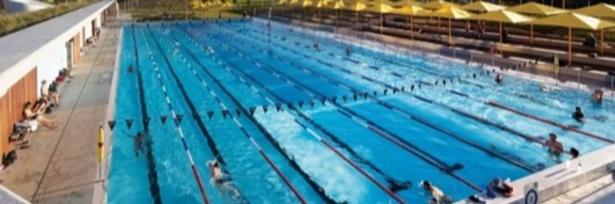 Different Strokes Swimming