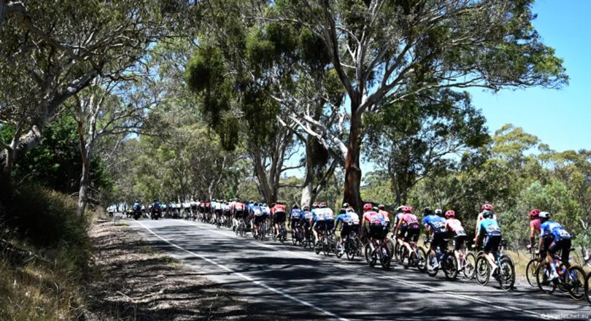 Tour Down Under