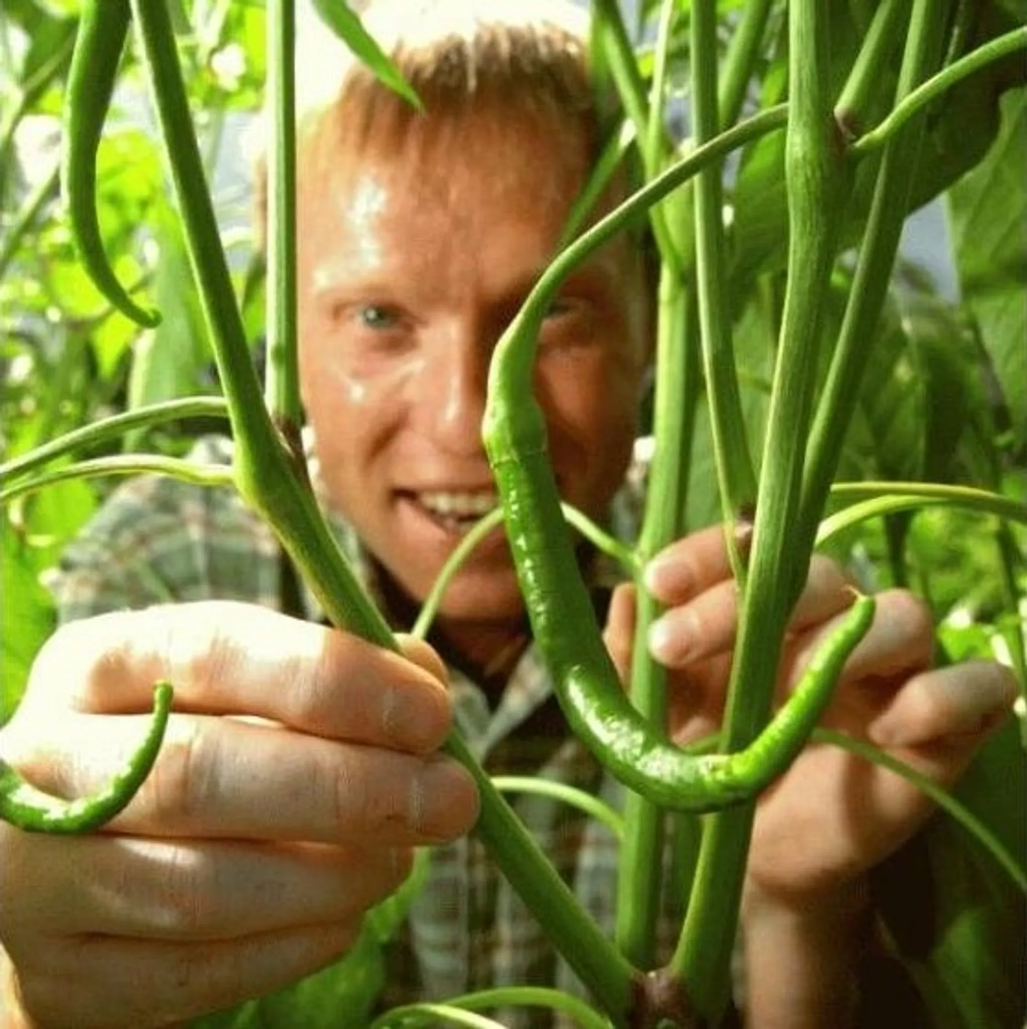 Digital Coach & Online Marketing Strategy Chorley