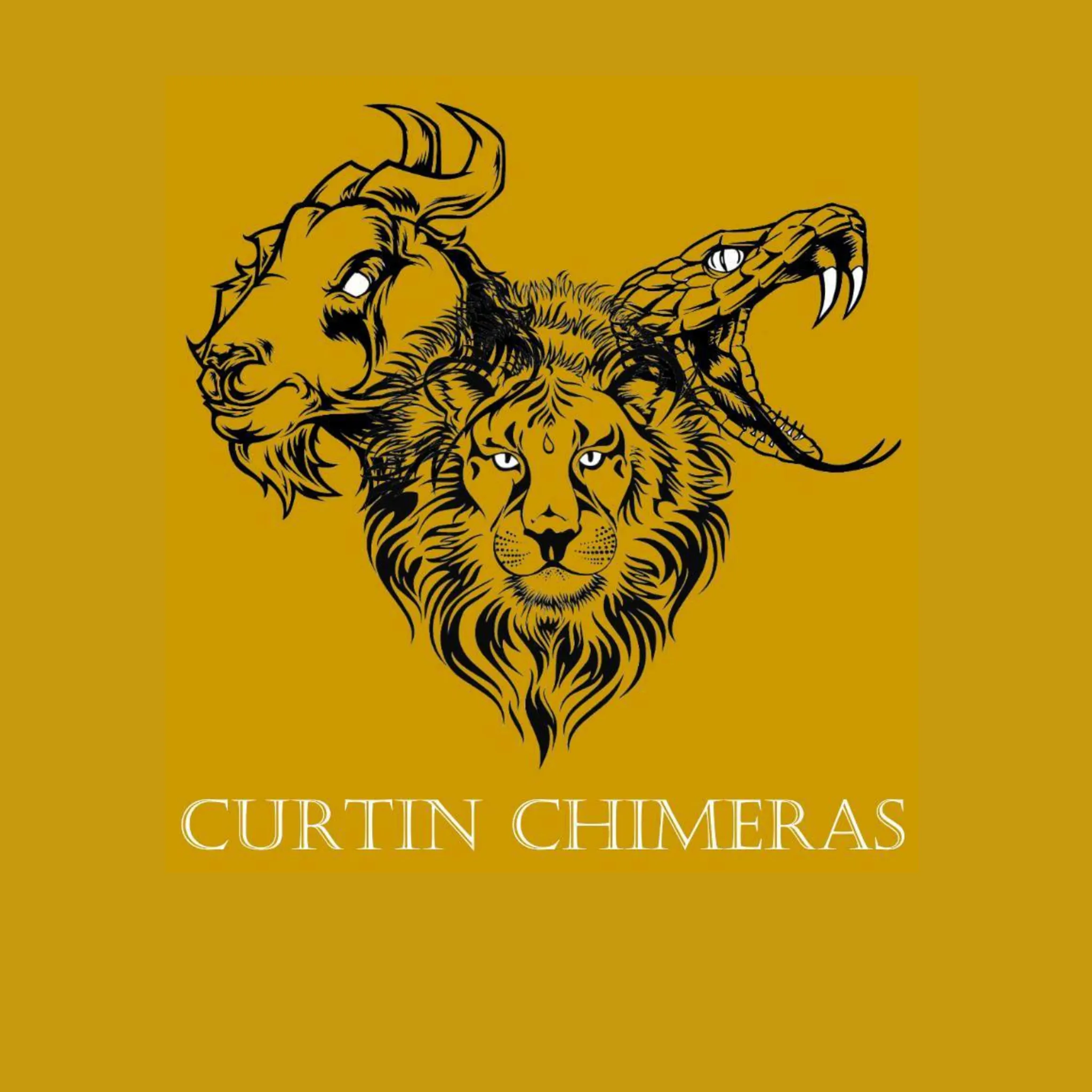 Curtin Quidditch Club