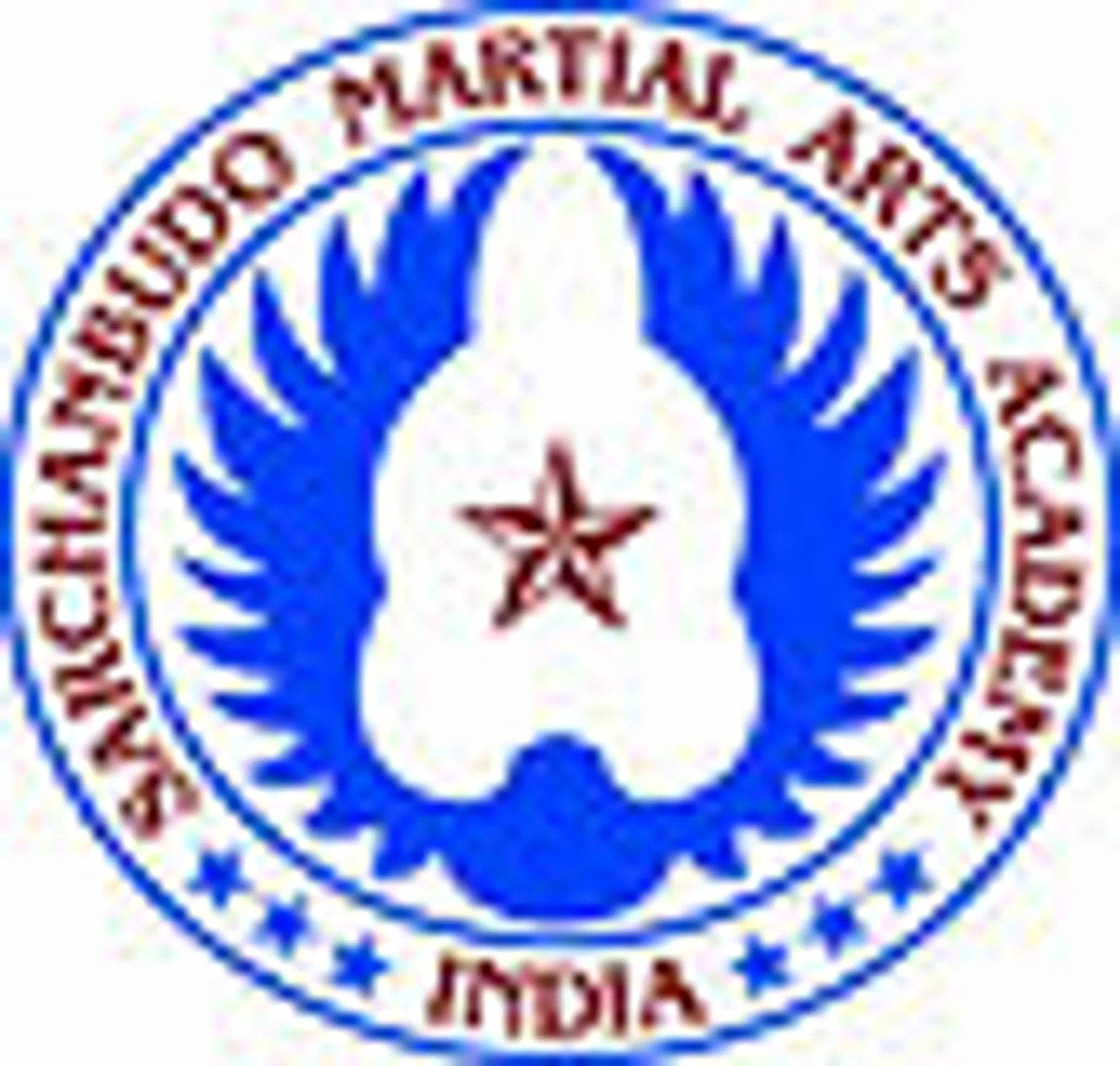 Sarchanbudo Martial Arts Academy