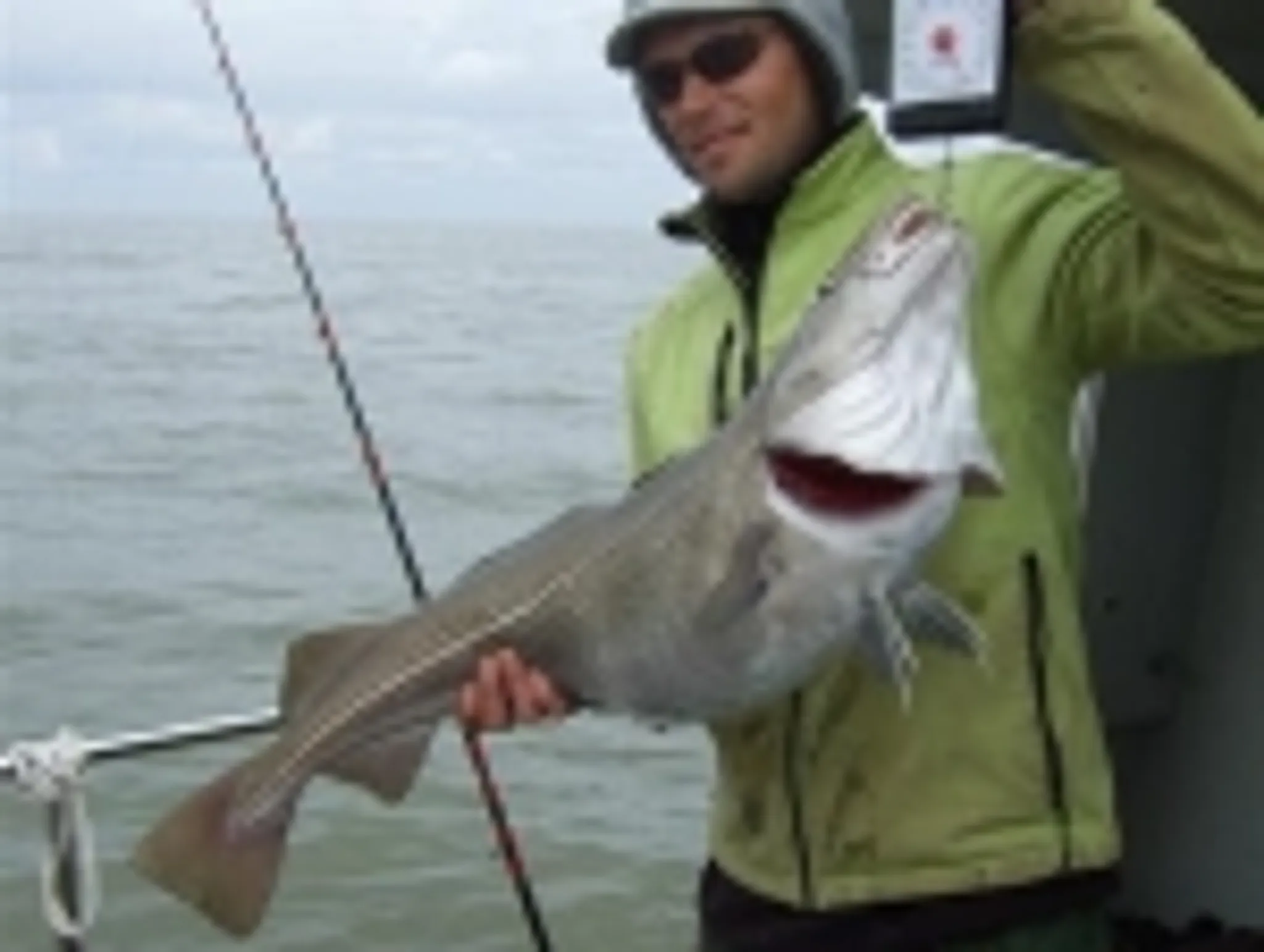 Recent Catches Welcome to Dawn Raider Charters
