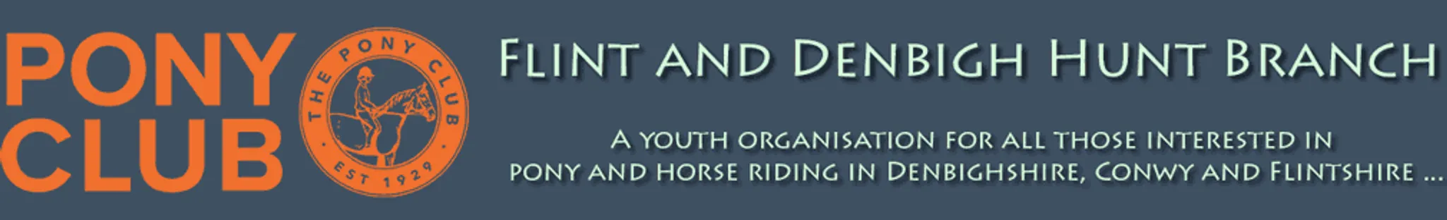 Flint and Denbigh Hunt Pony Club