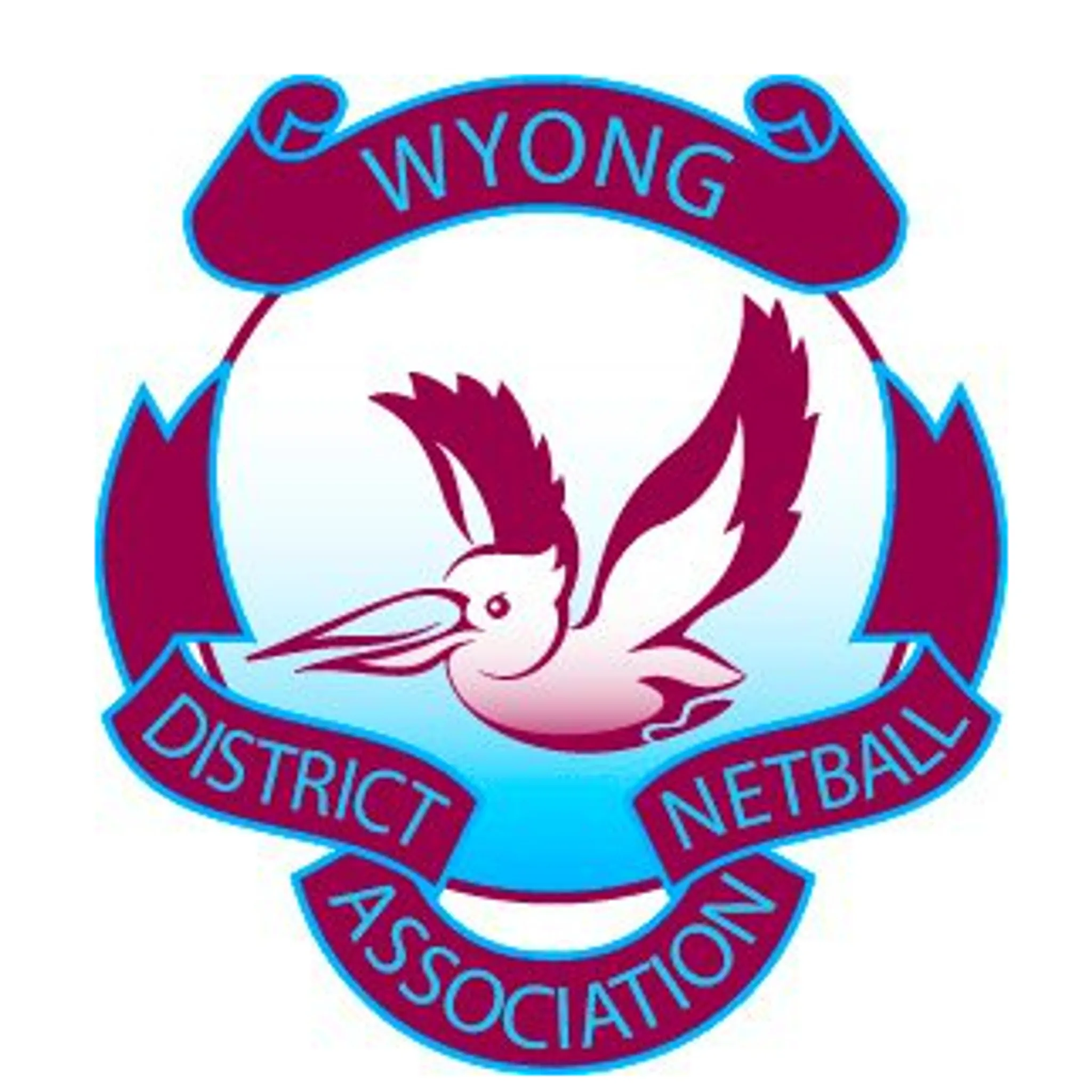 Mannering Park Netball Club