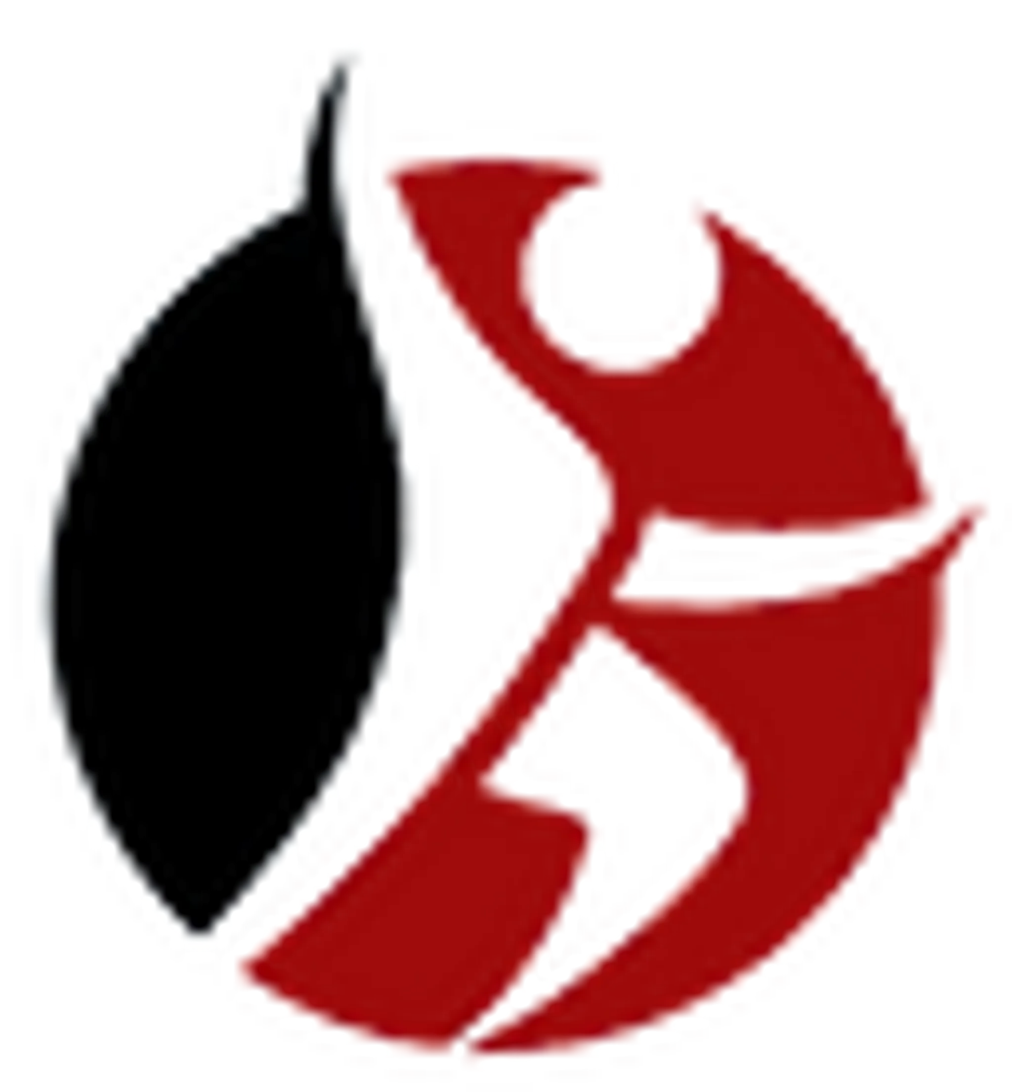 Complexe Sant & Fitness