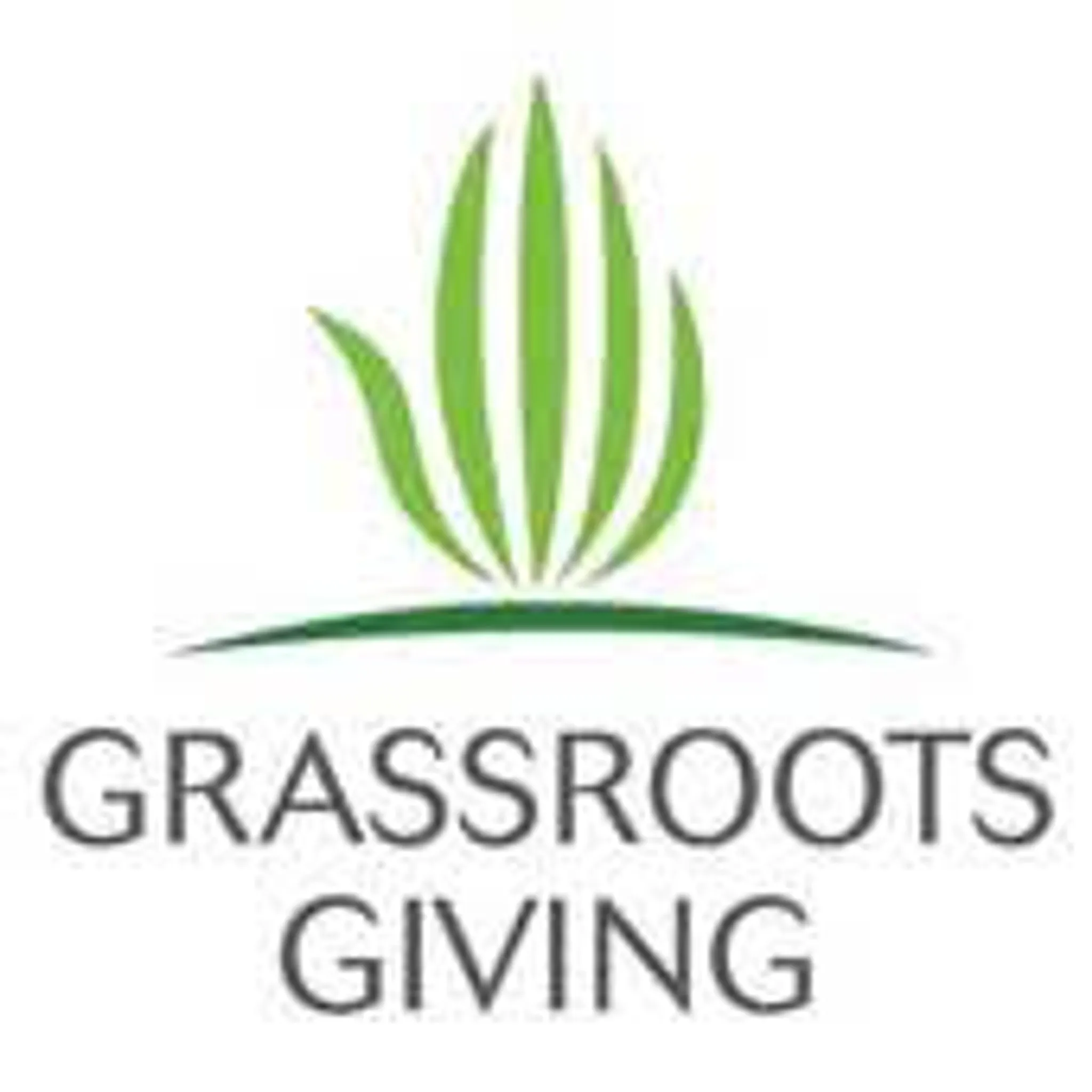 Niffany Swing Bridge