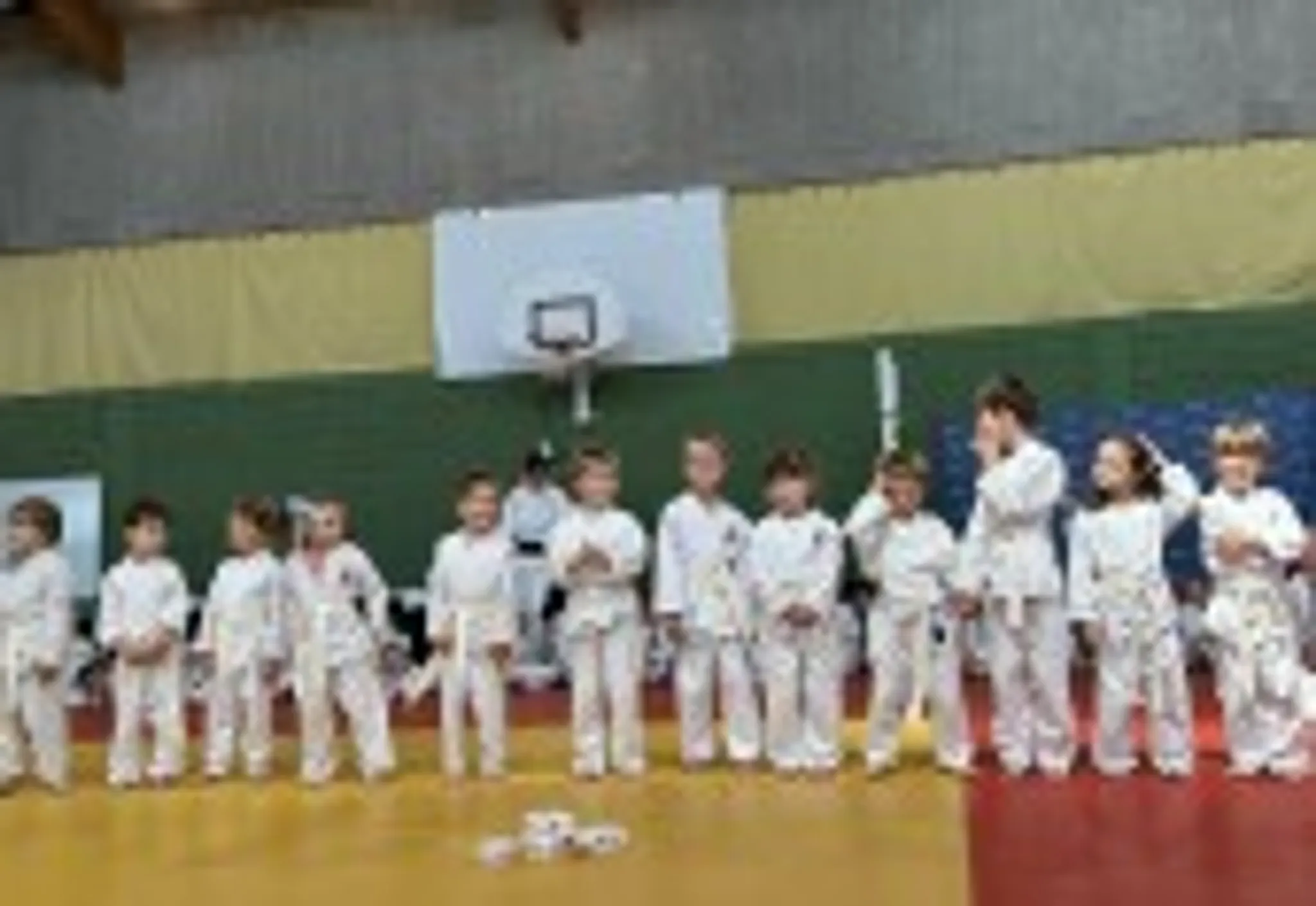 Judo club des Martres de Veyre