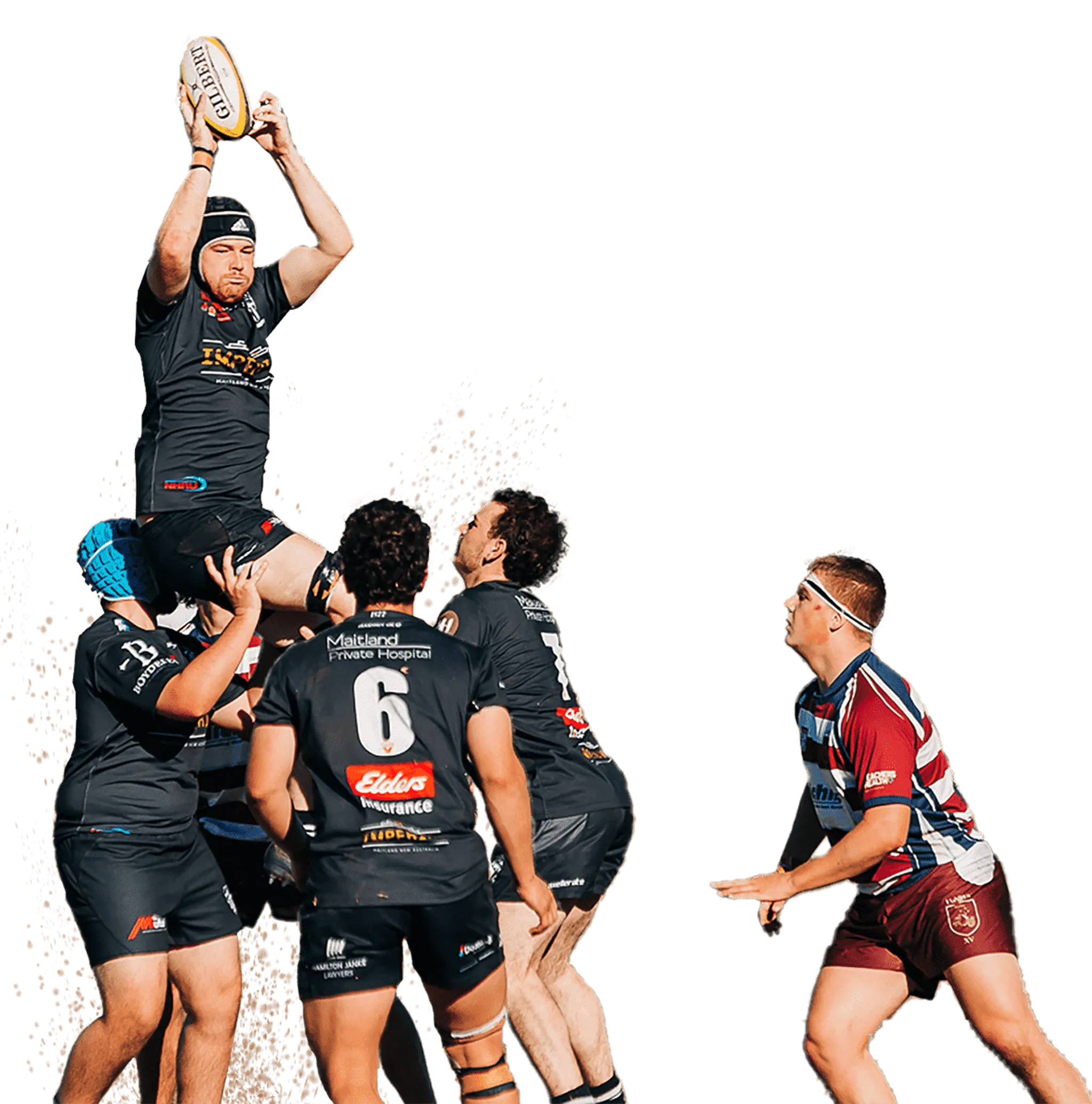 Maitland Blacks Rugby Club