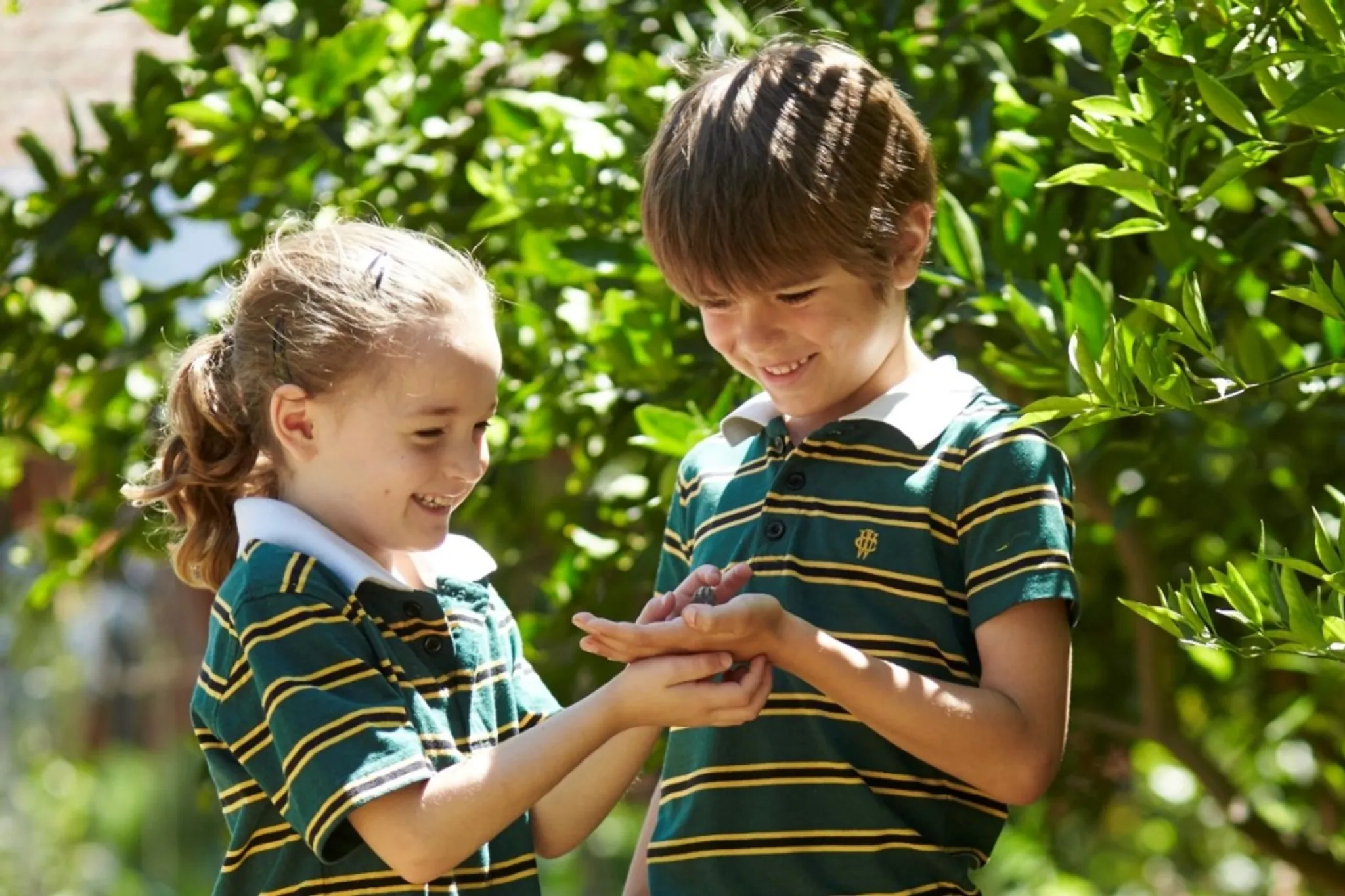 Tour Morning – Wednesday 11 September