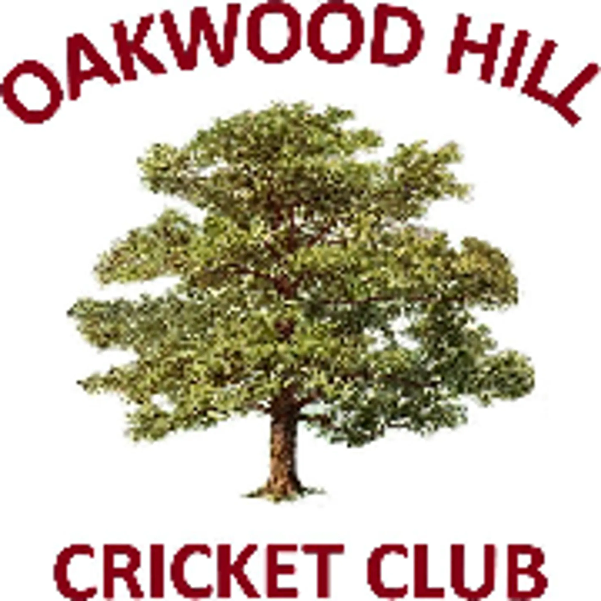 Oakwood Hill Cricket Club