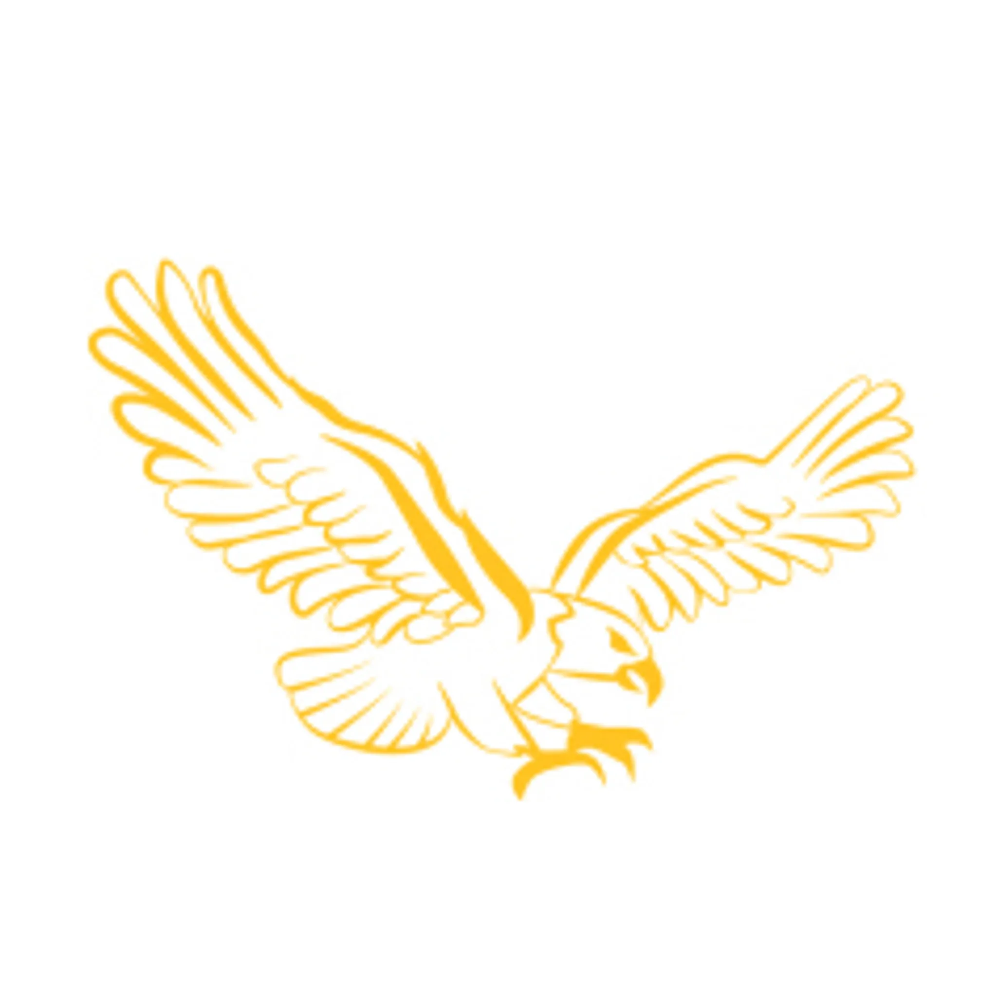 Somerville Football & Netball Club