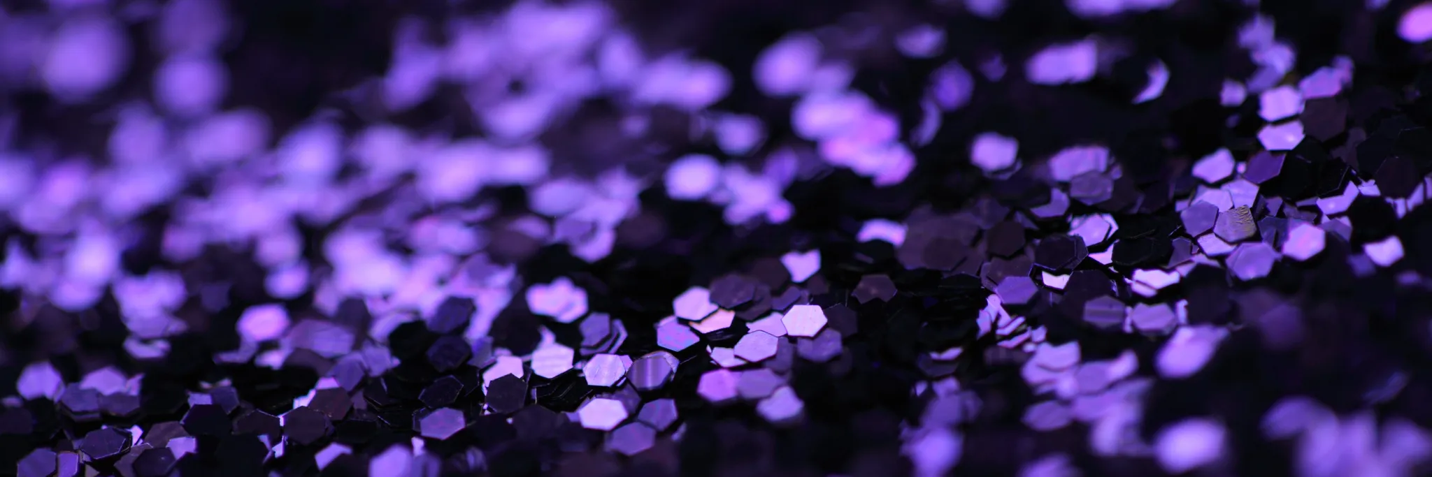 Sydney Calisthenics Club