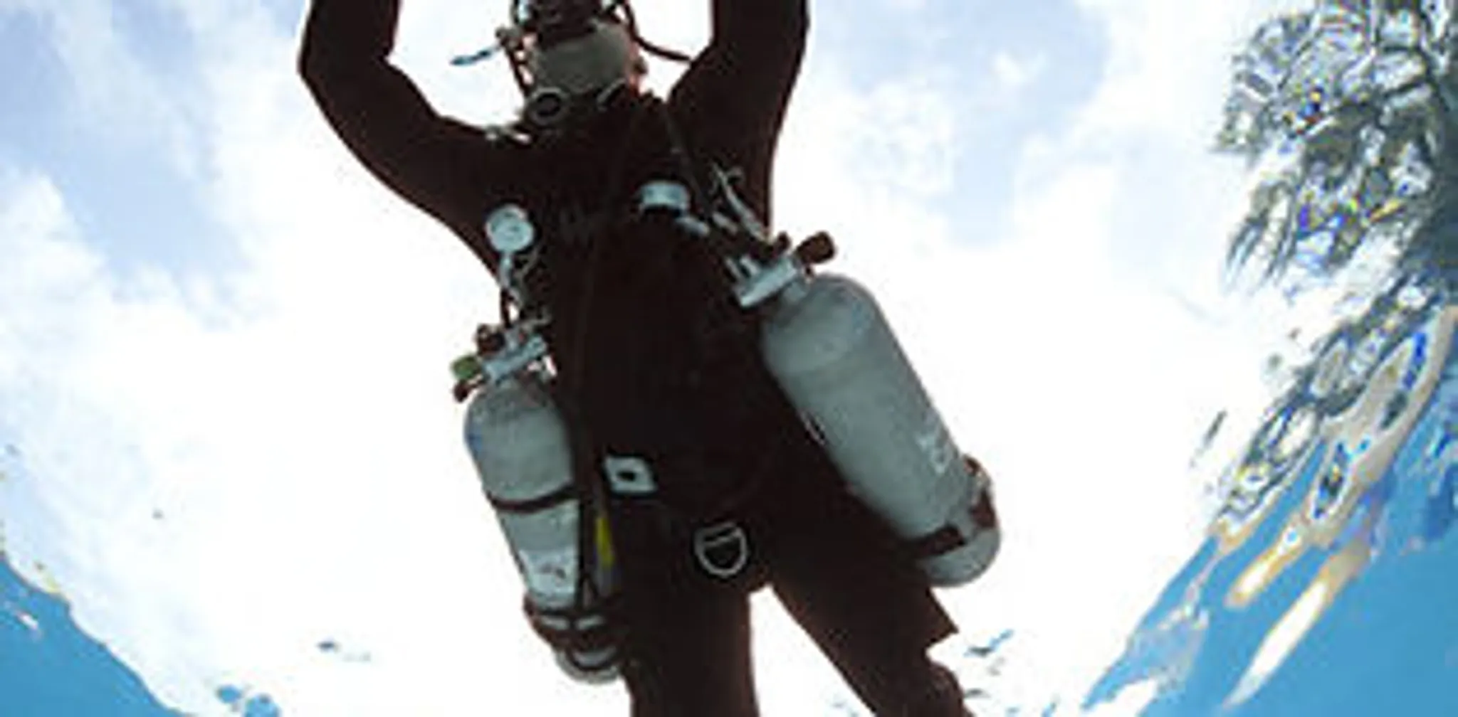 Swim with Minke Whales Expedition