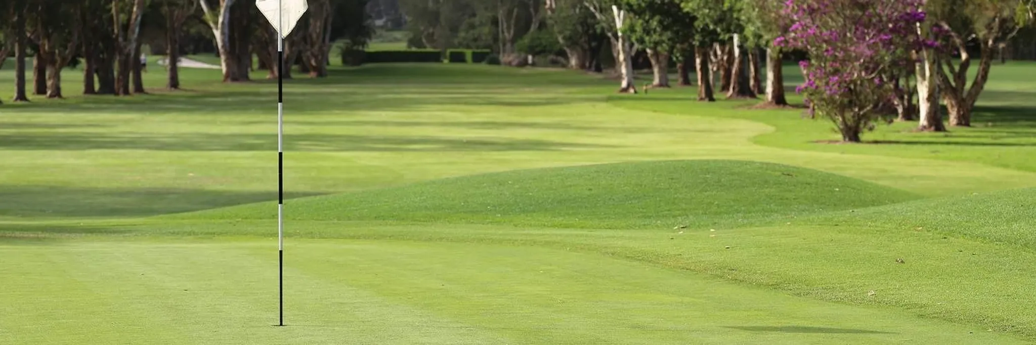 Social Golf Warringah