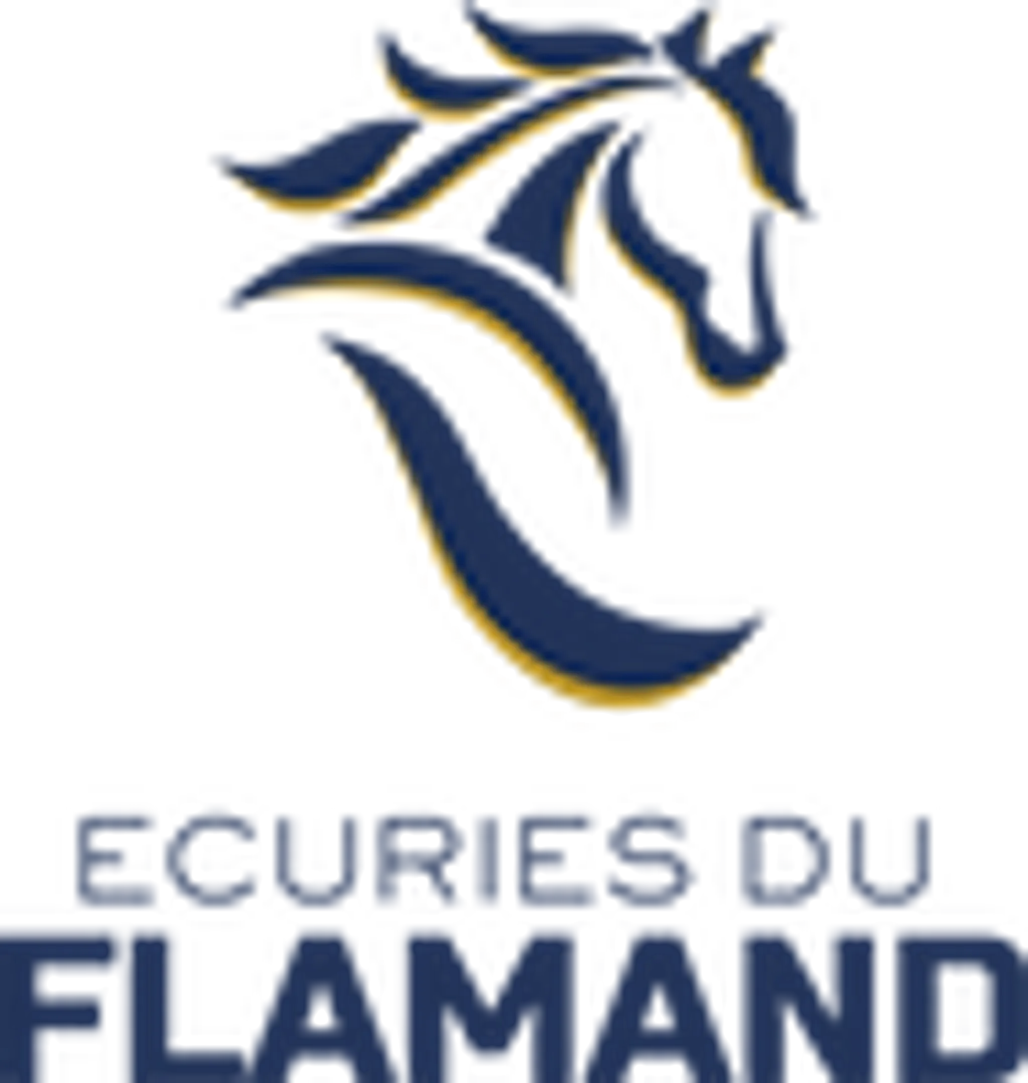 Les Ecuries Du Flamand