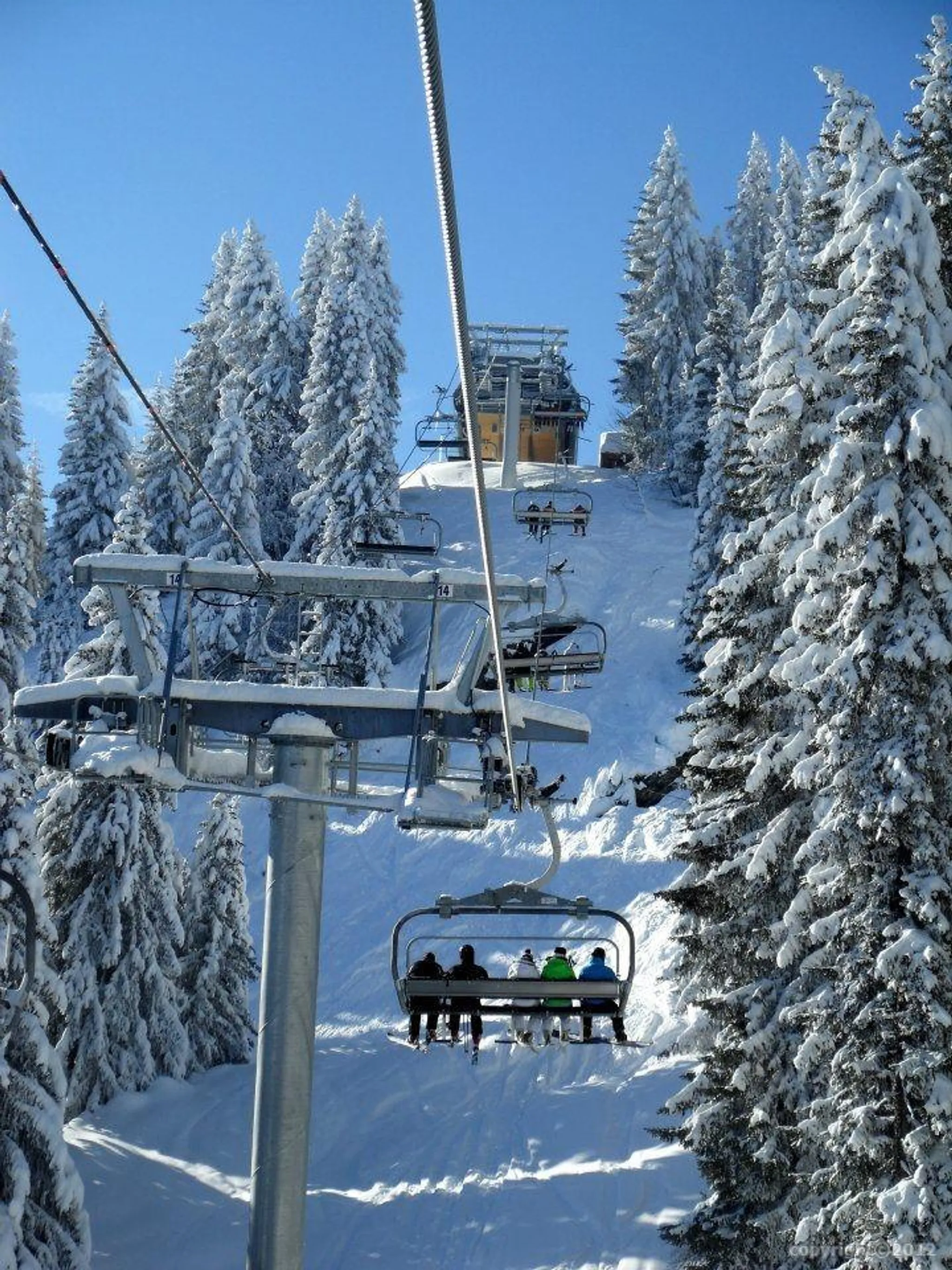 Fête d'été du comité de ski Bourgogne