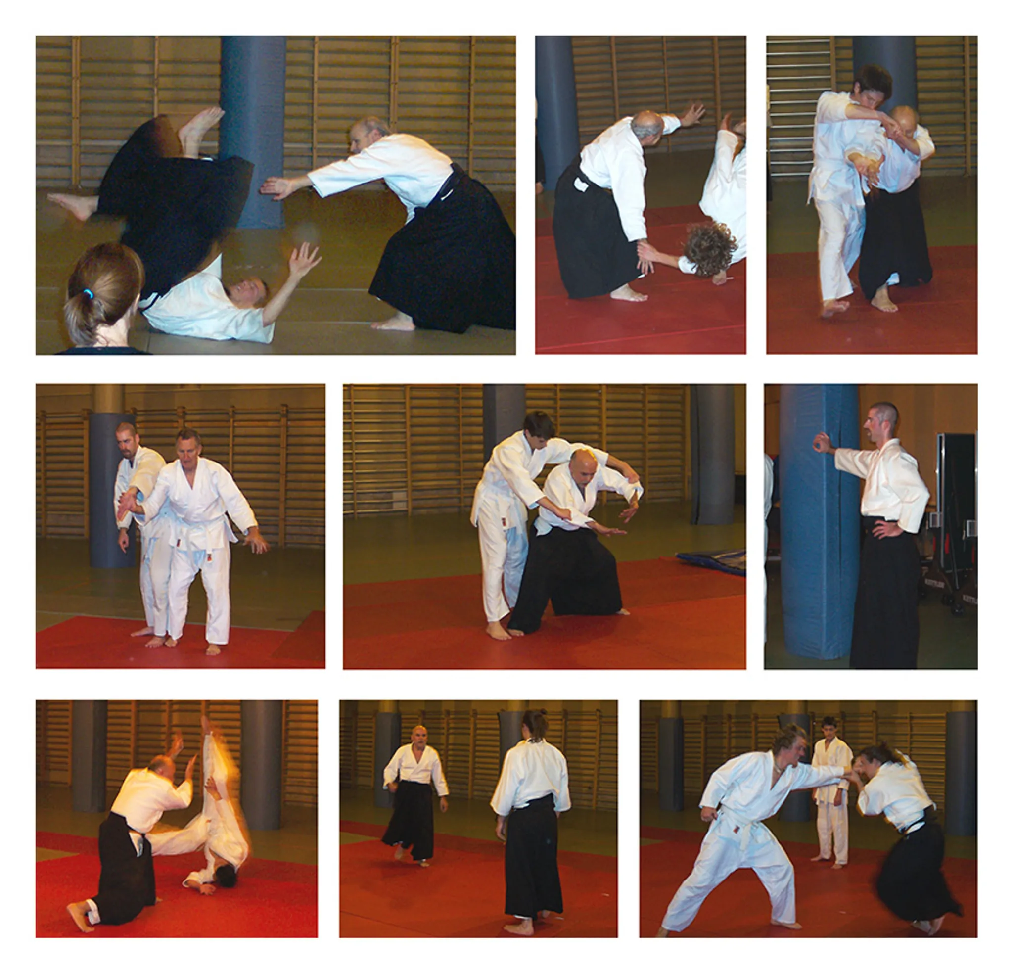 Aikido Lanaudire