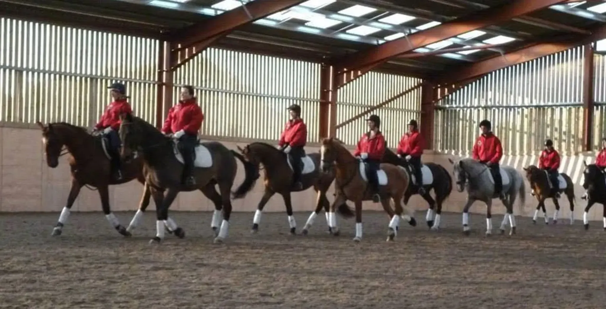 Pony Weeks for Children and Teenagers