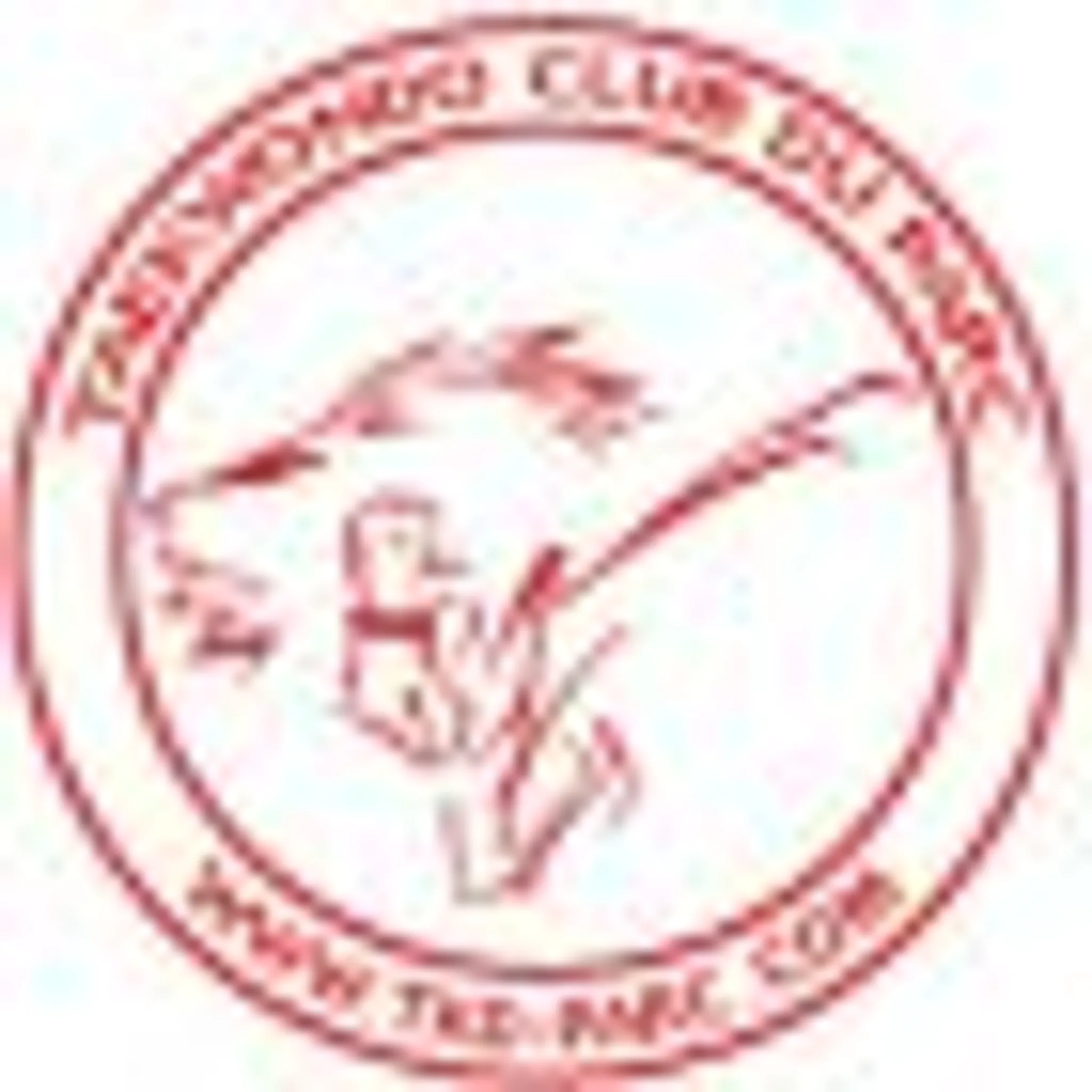 Taekwondo club du Parc