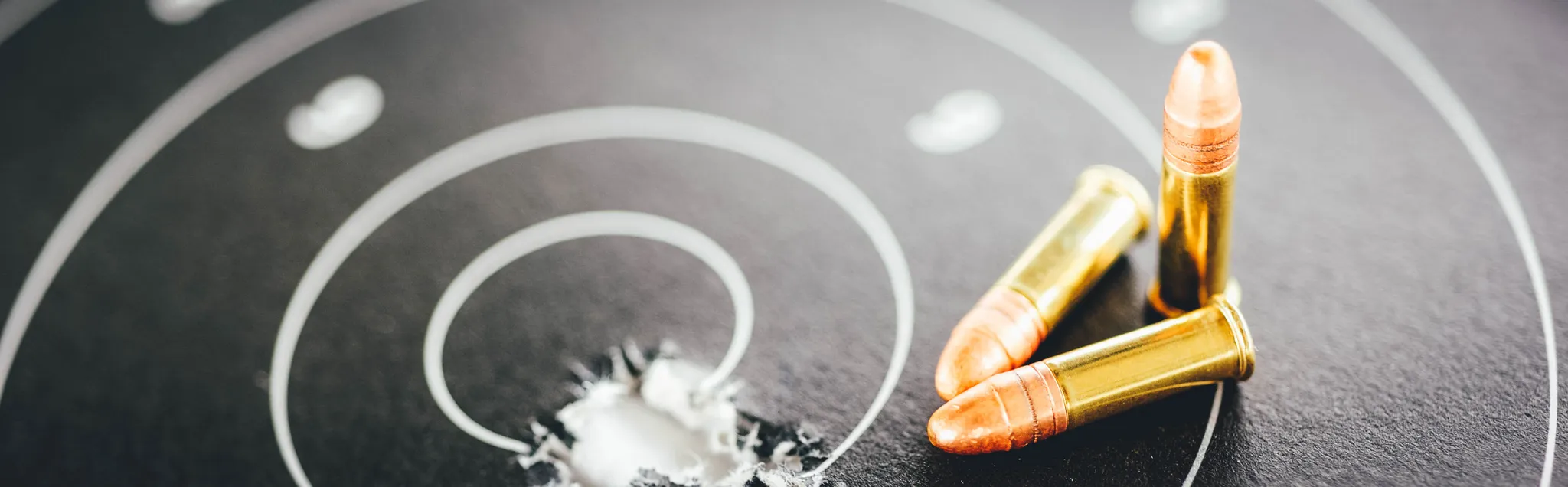 Target Shooting banner