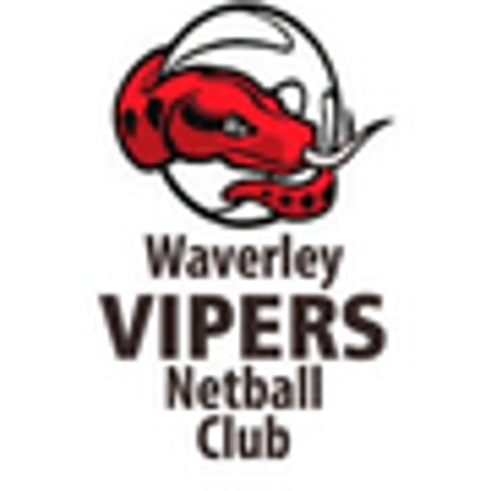 Waverley VIPERS Netball Club
